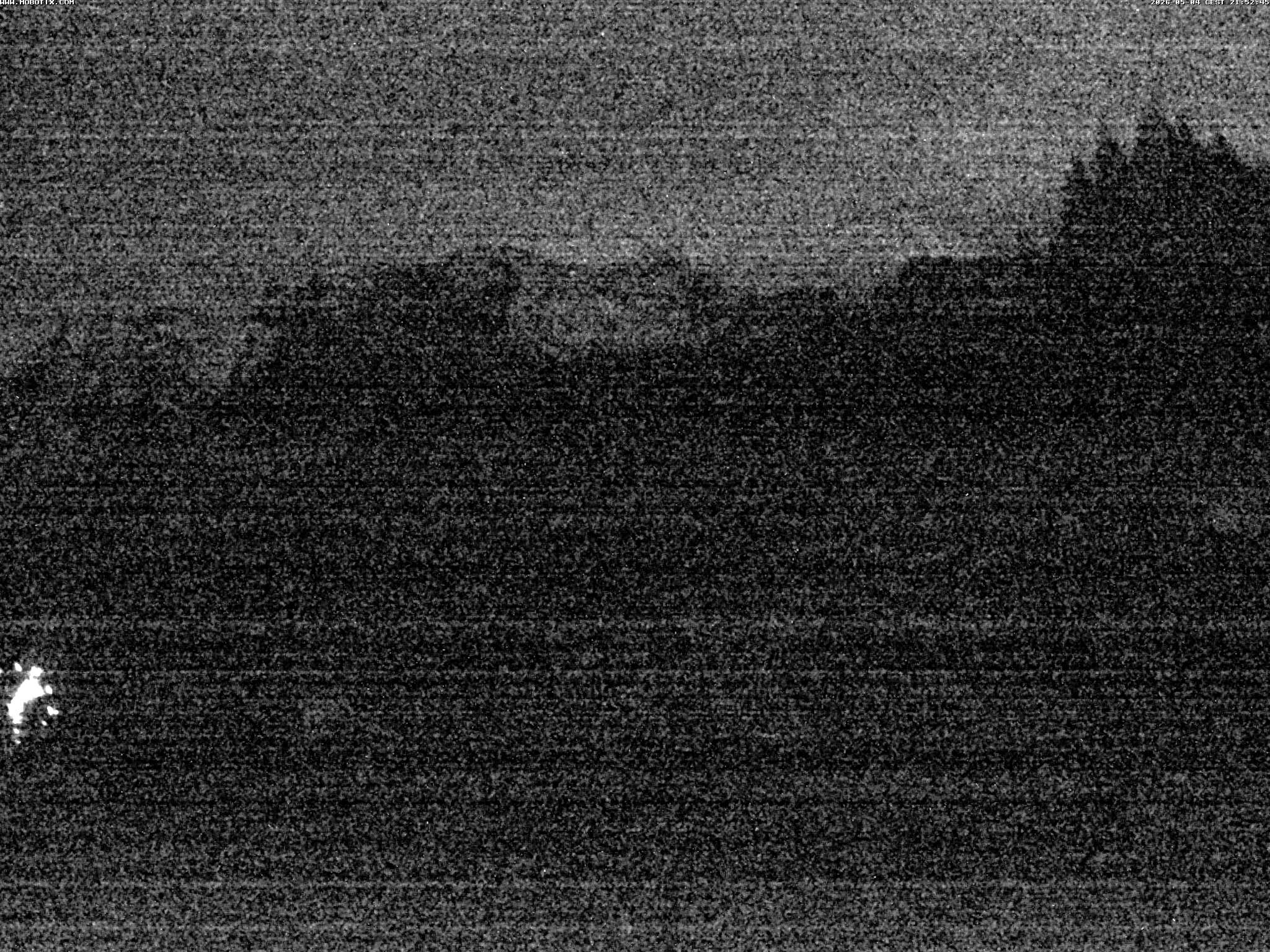 Brandnertal - Niggenkopf