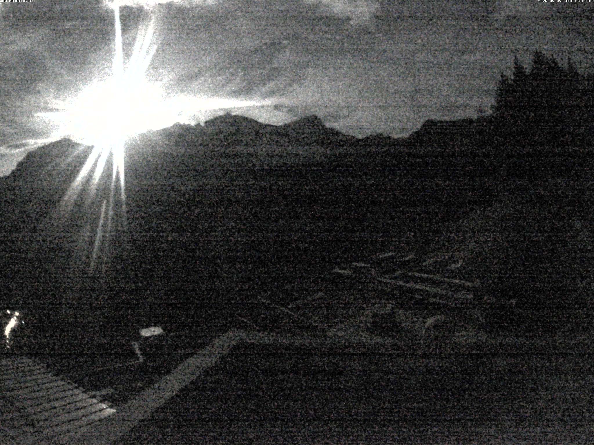 Brandnertal - Niggenkopf