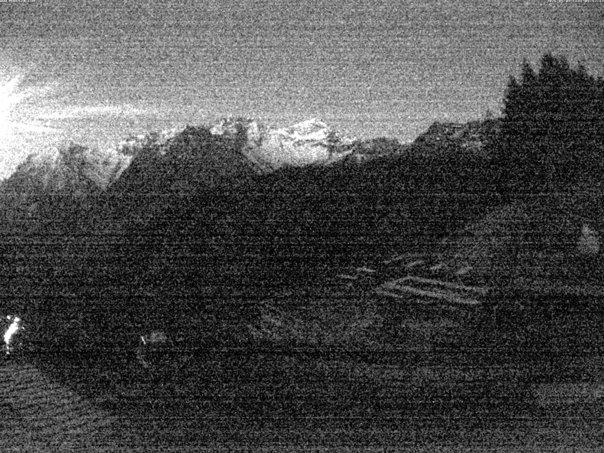 Brandnertal - Niggenkopf