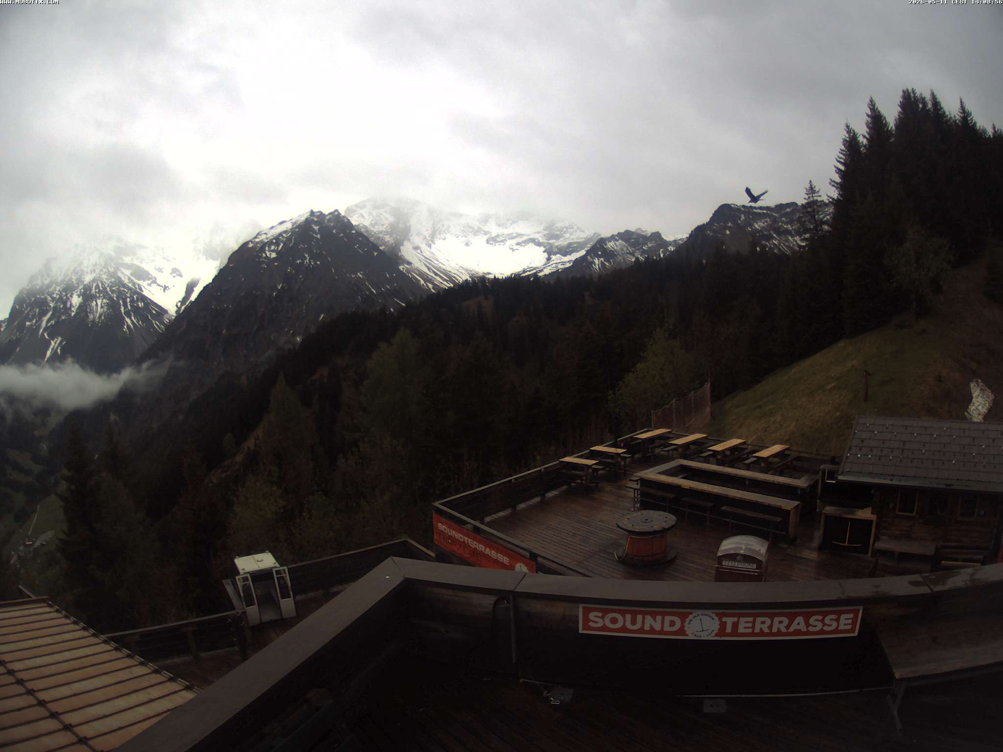 Brandnertal - Niggenkopf