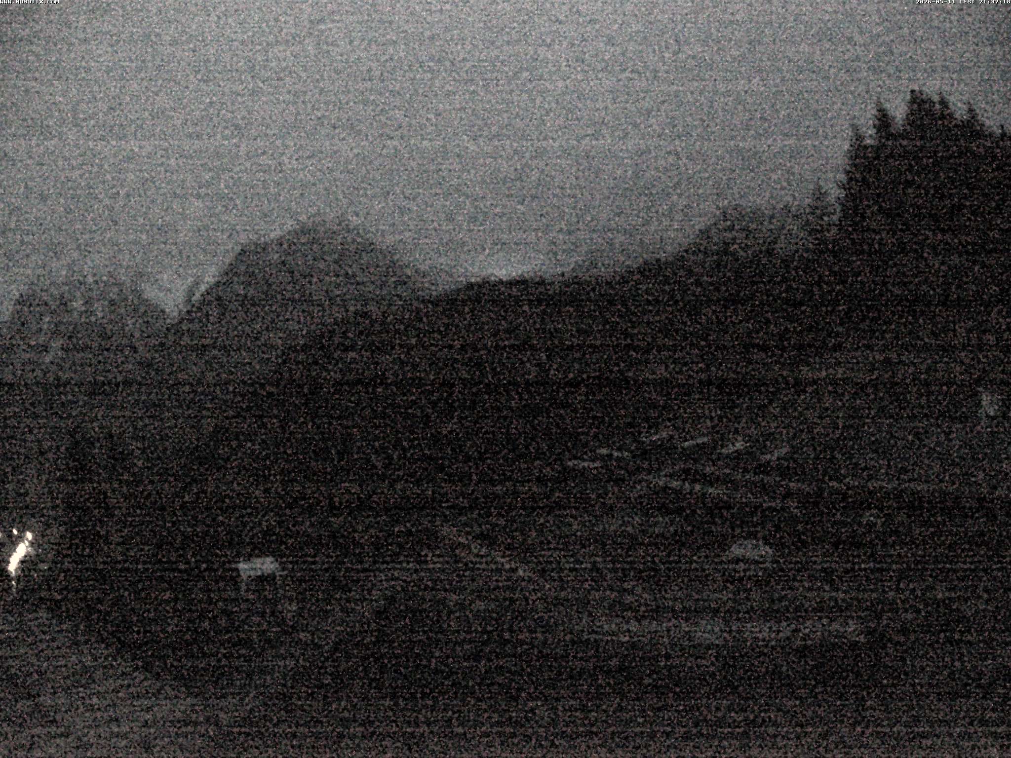 Brandnertal - Niggenkopf