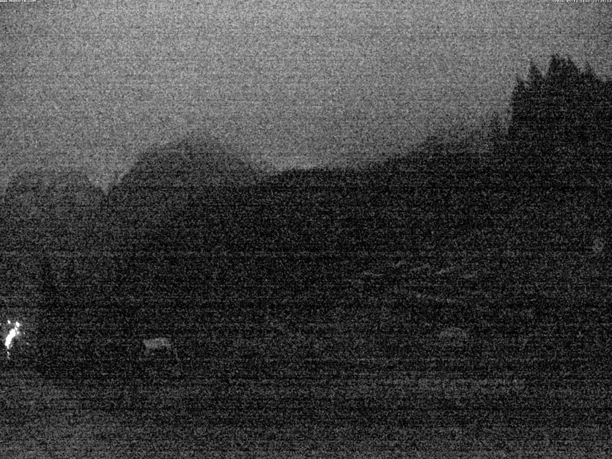 Brandnertal - Niggenkopf