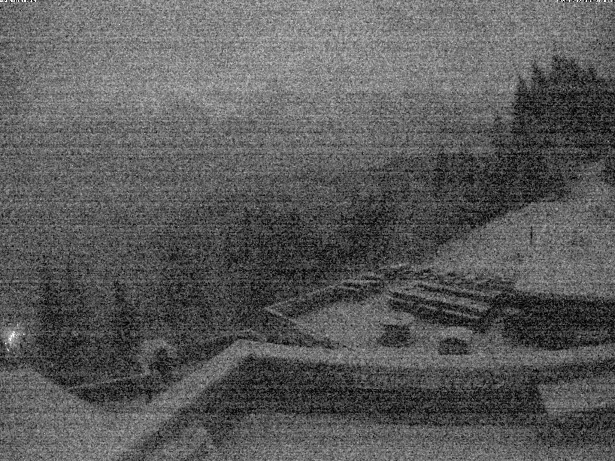 Brandnertal - Niggenkopf