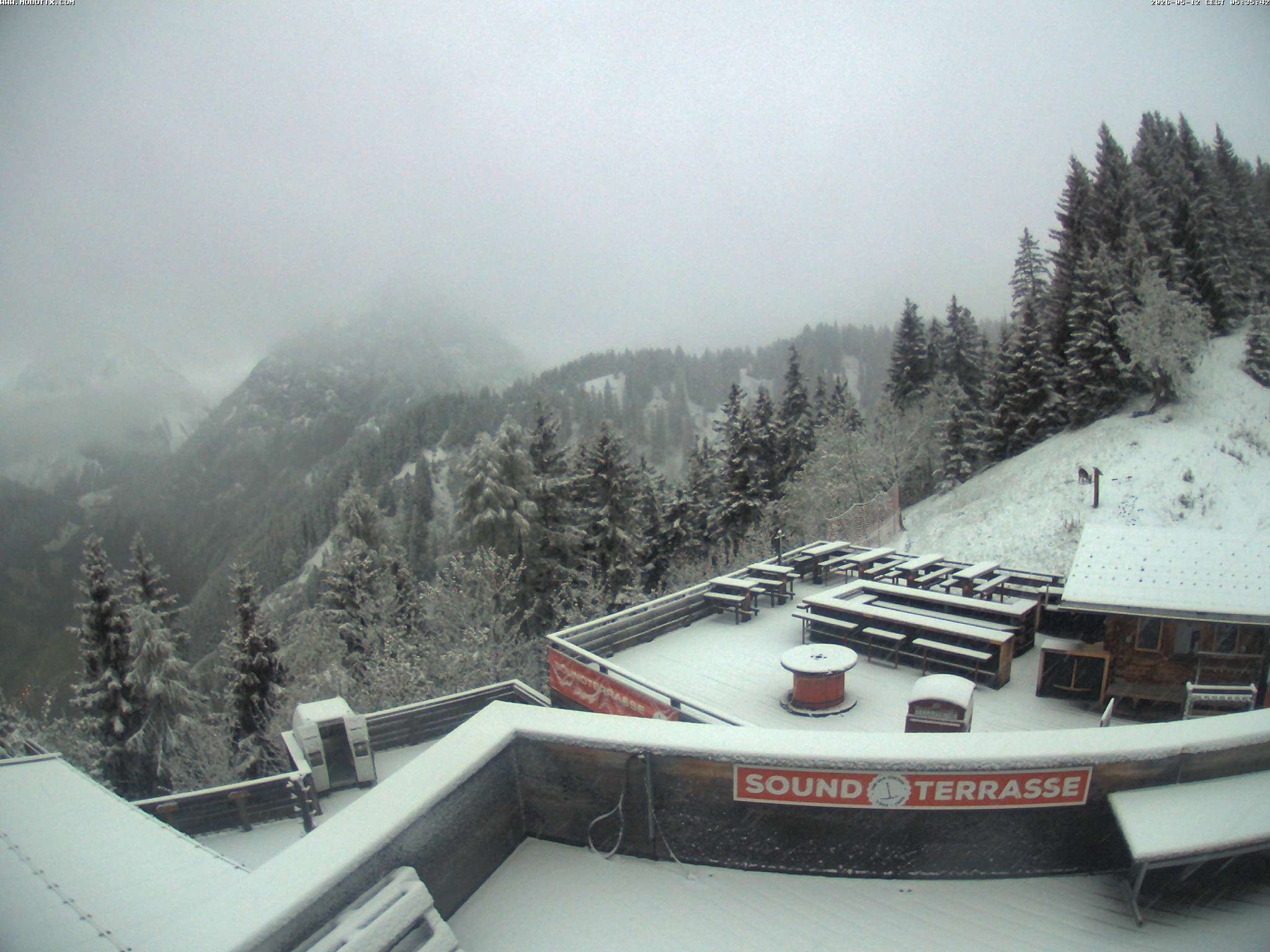 Brandnertal - Niggenkopf