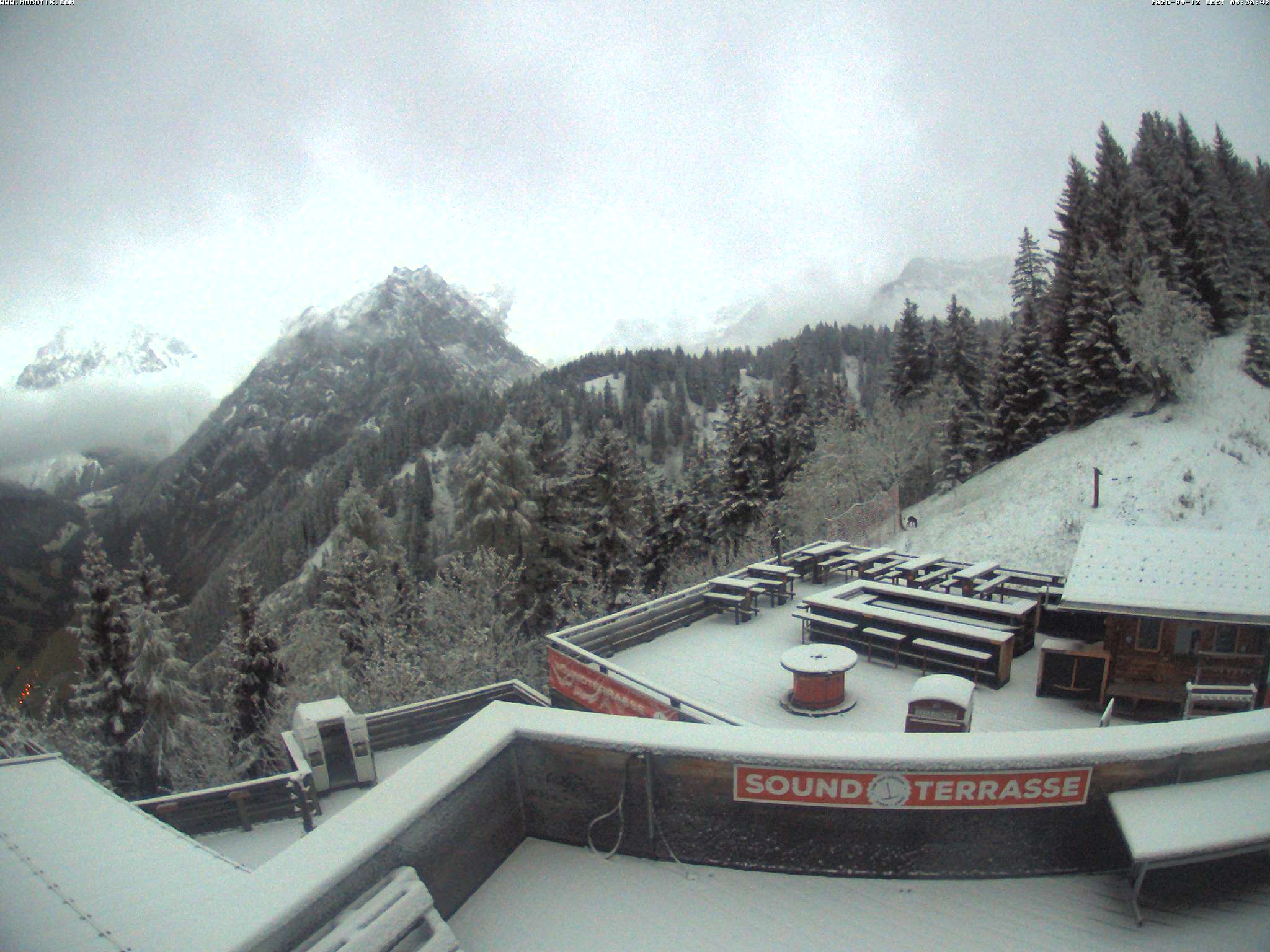 Brandnertal - Niggenkopf