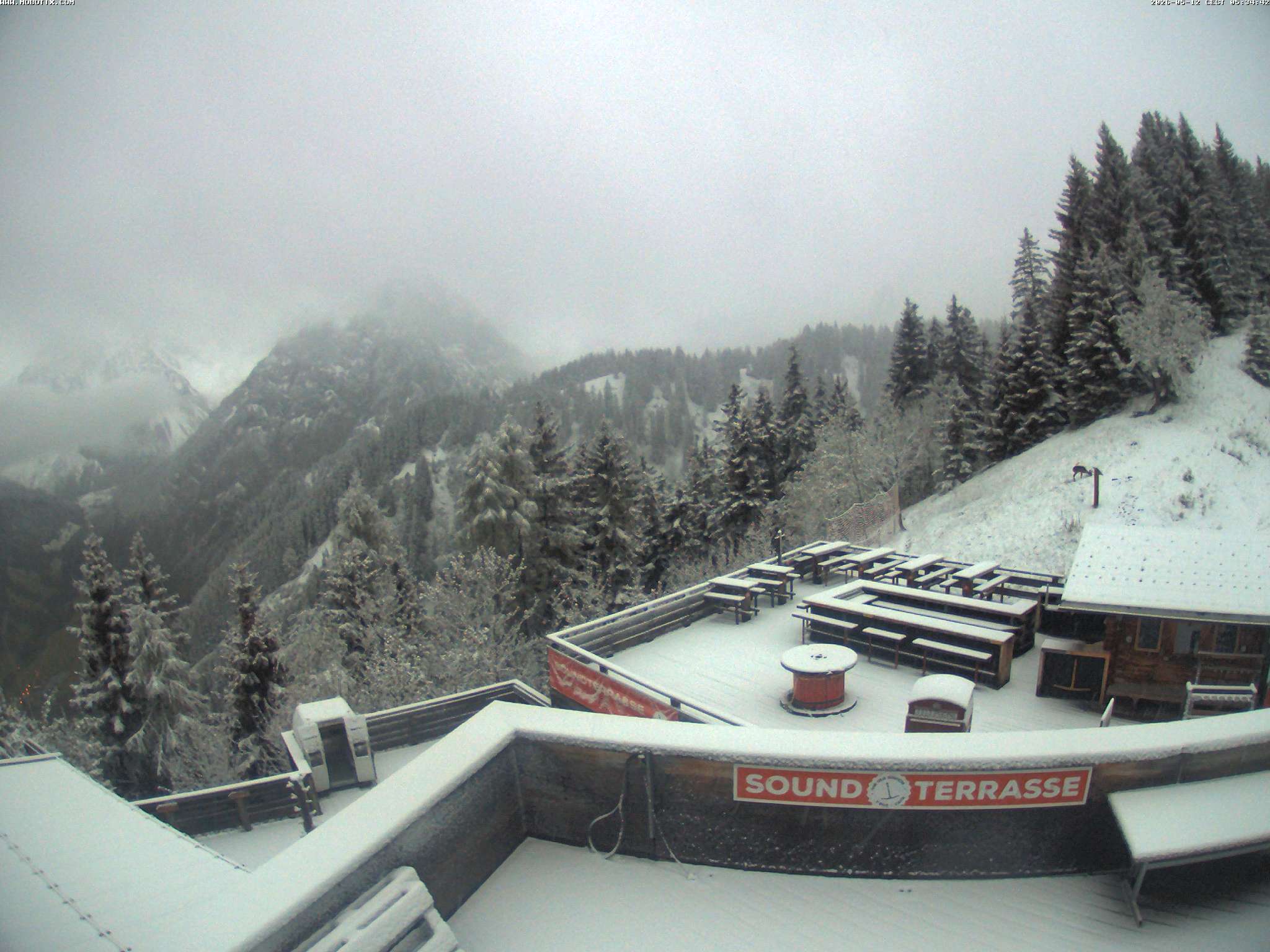 Brandnertal - Niggenkopf