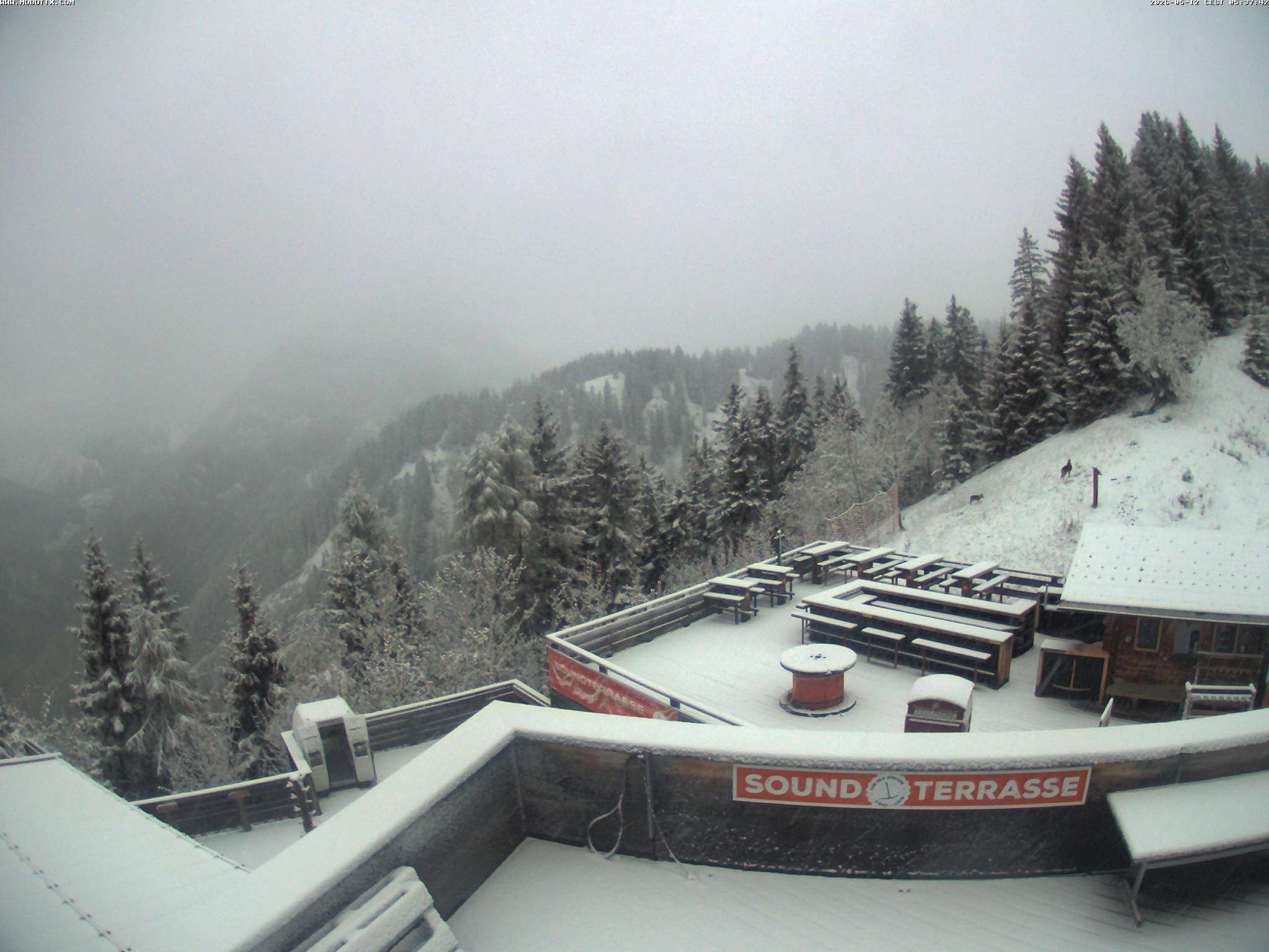 Brandnertal - Niggenkopf