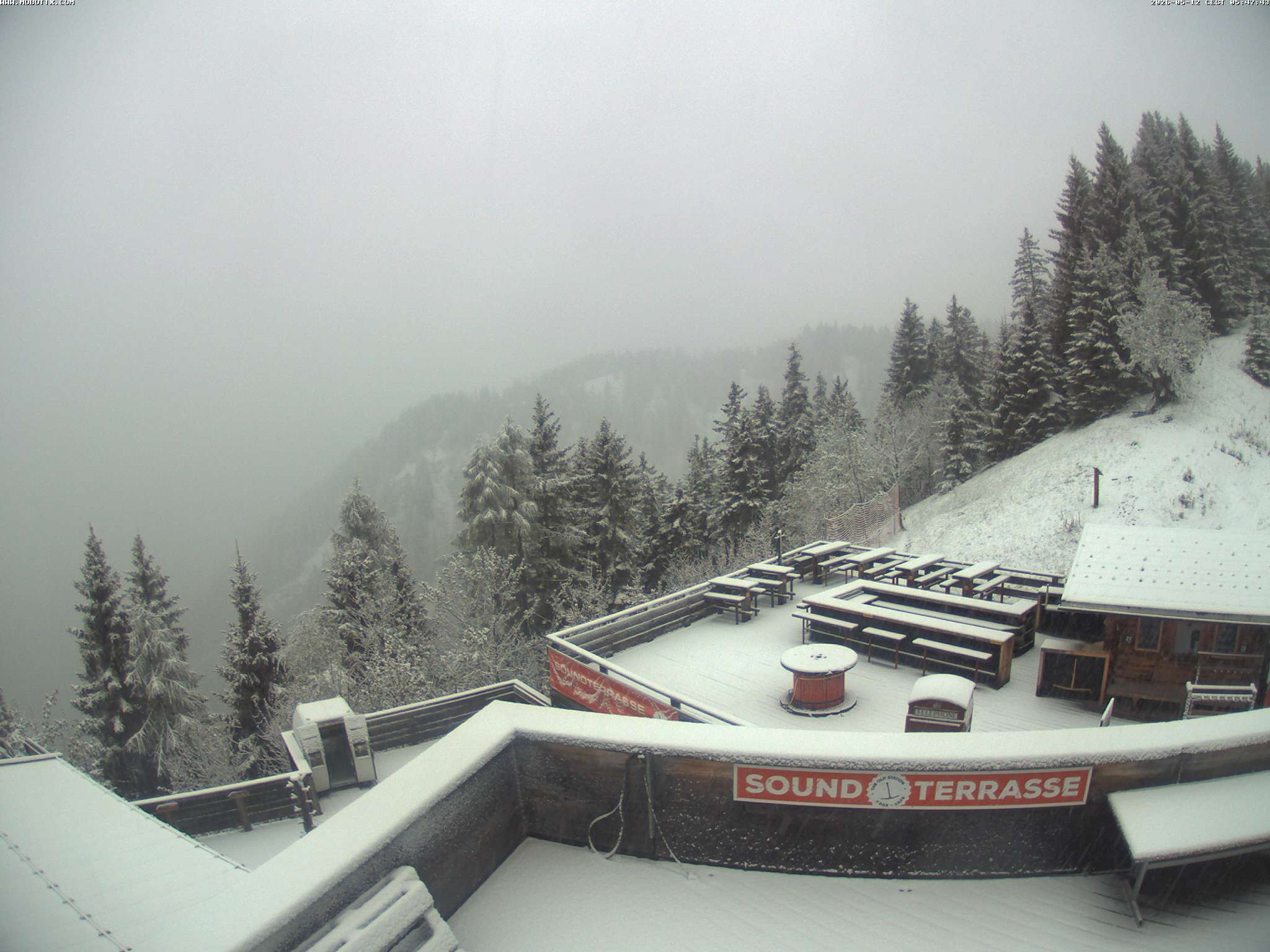 Brandnertal - Niggenkopf