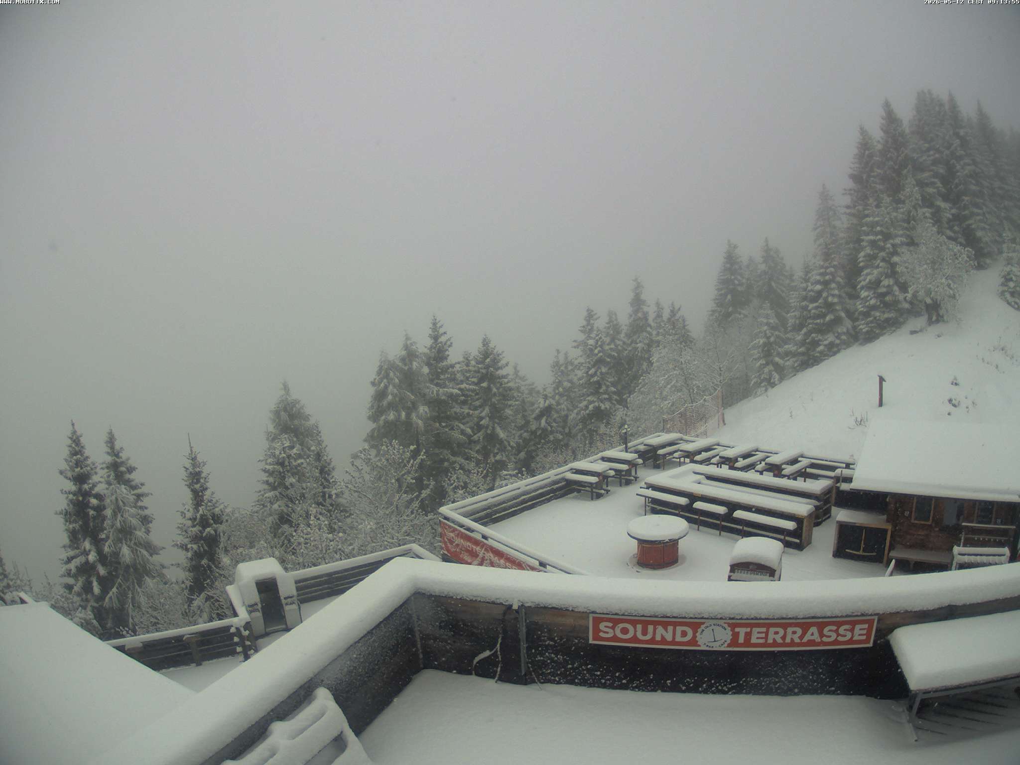 Brandnertal - Niggenkopf