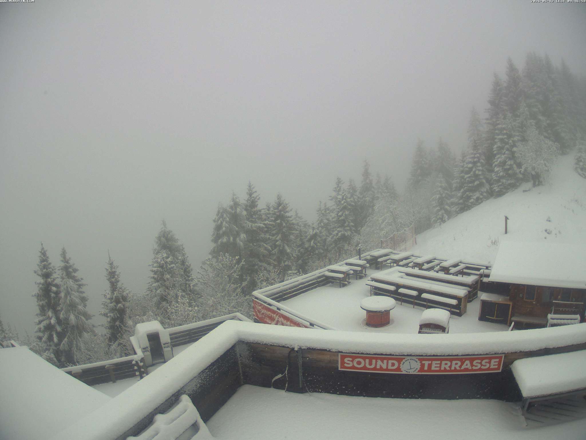 Brandnertal - Niggenkopf