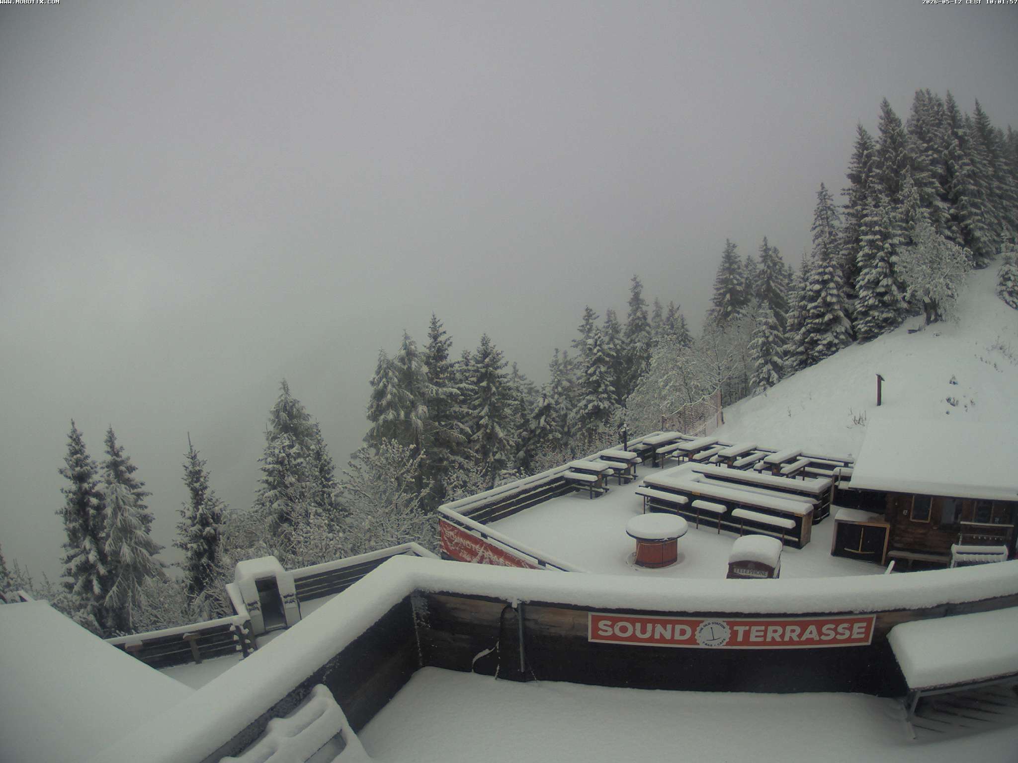 Brandnertal - Niggenkopf
