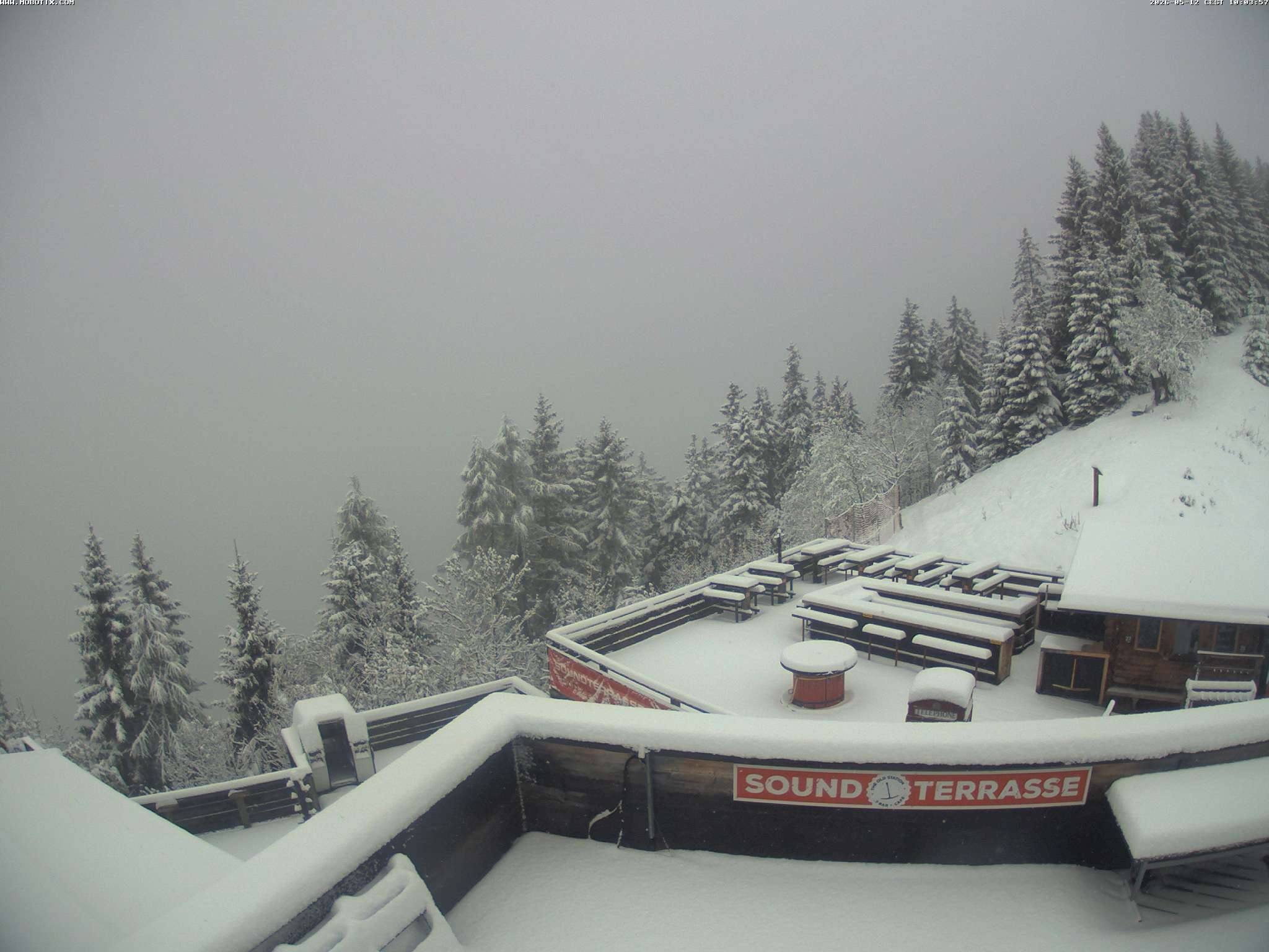 Brandnertal - Niggenkopf