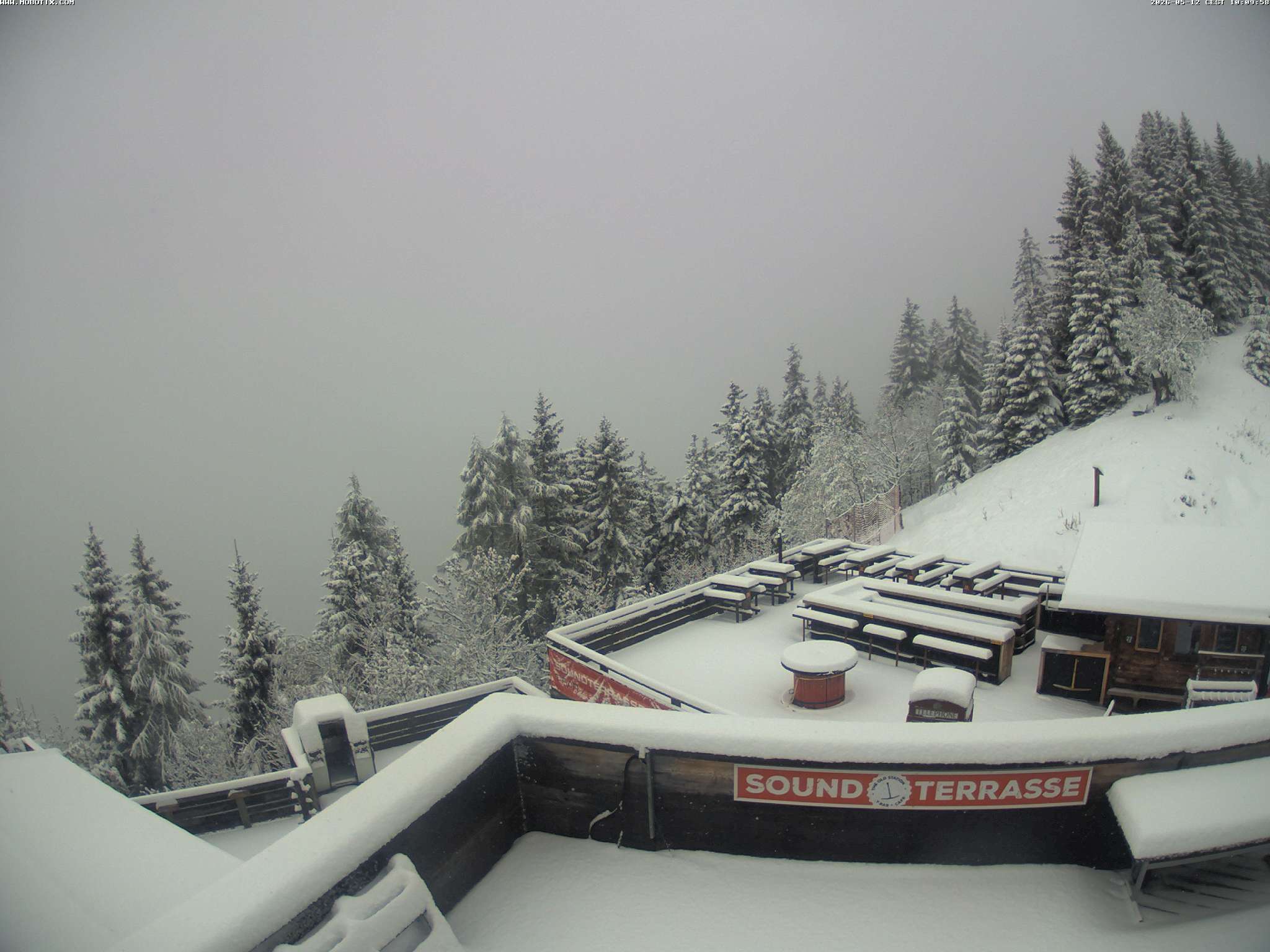 Brandnertal - Niggenkopf
