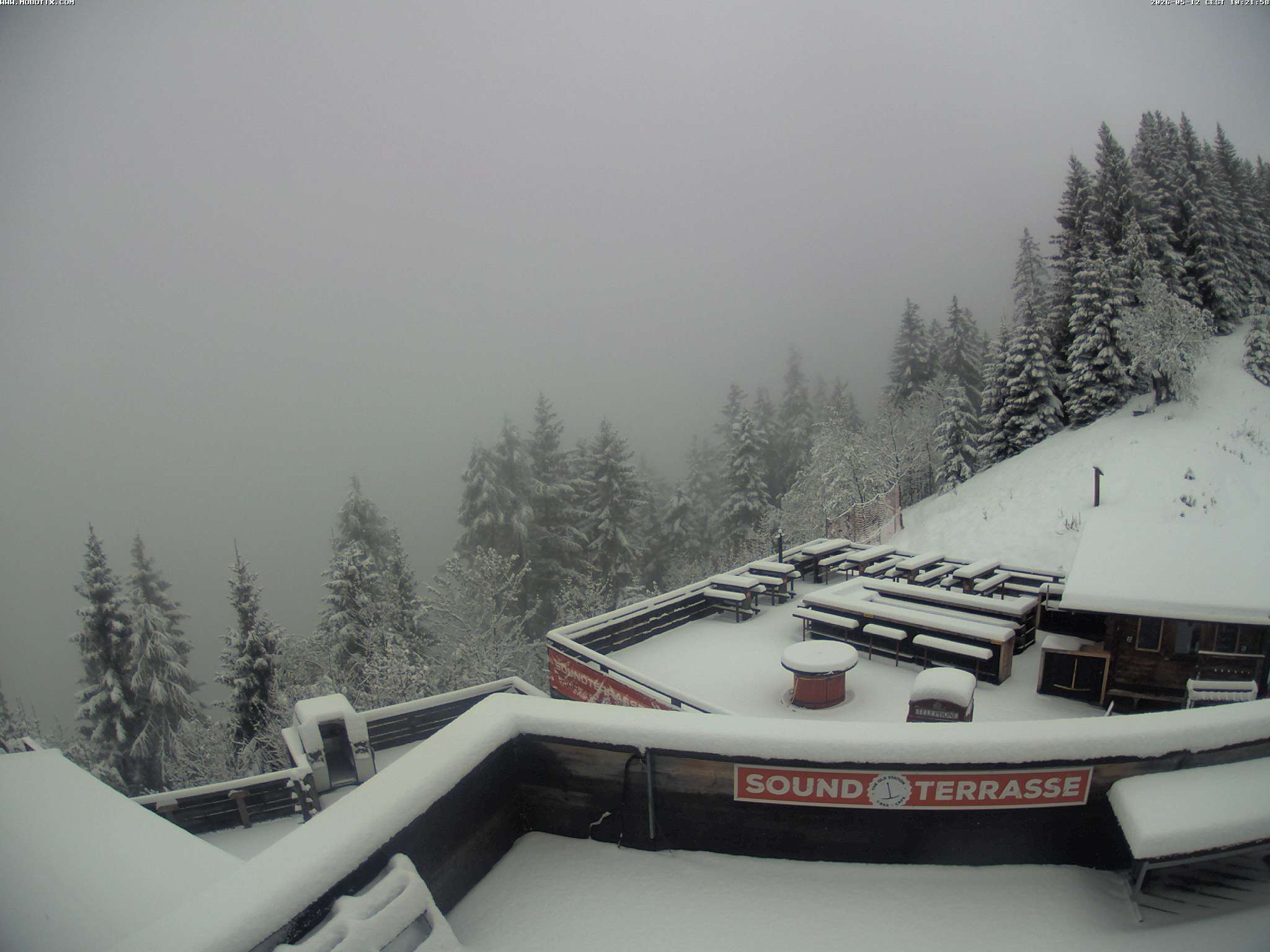 Brandnertal - Niggenkopf