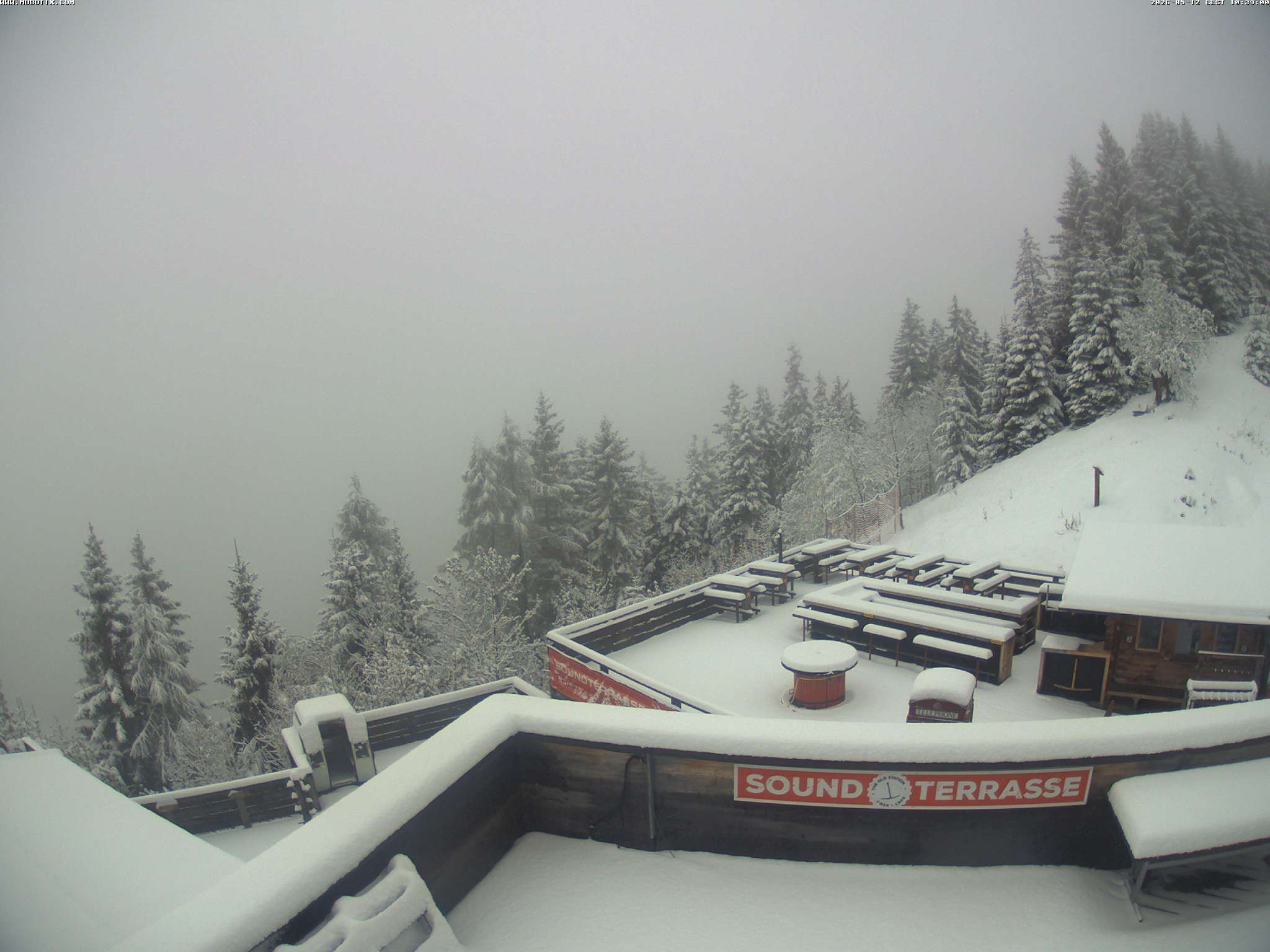 Brandnertal - Niggenkopf