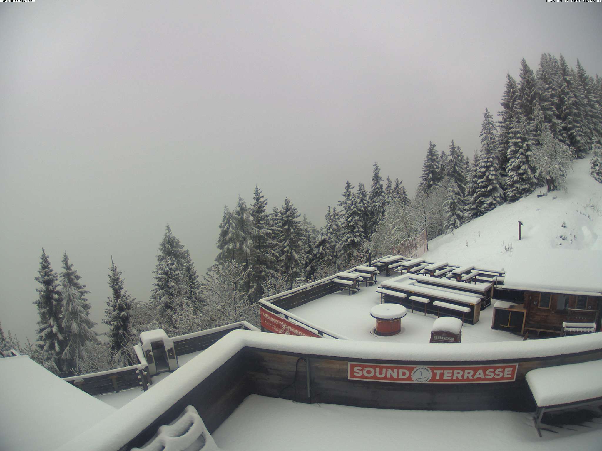 Brandnertal - Niggenkopf
