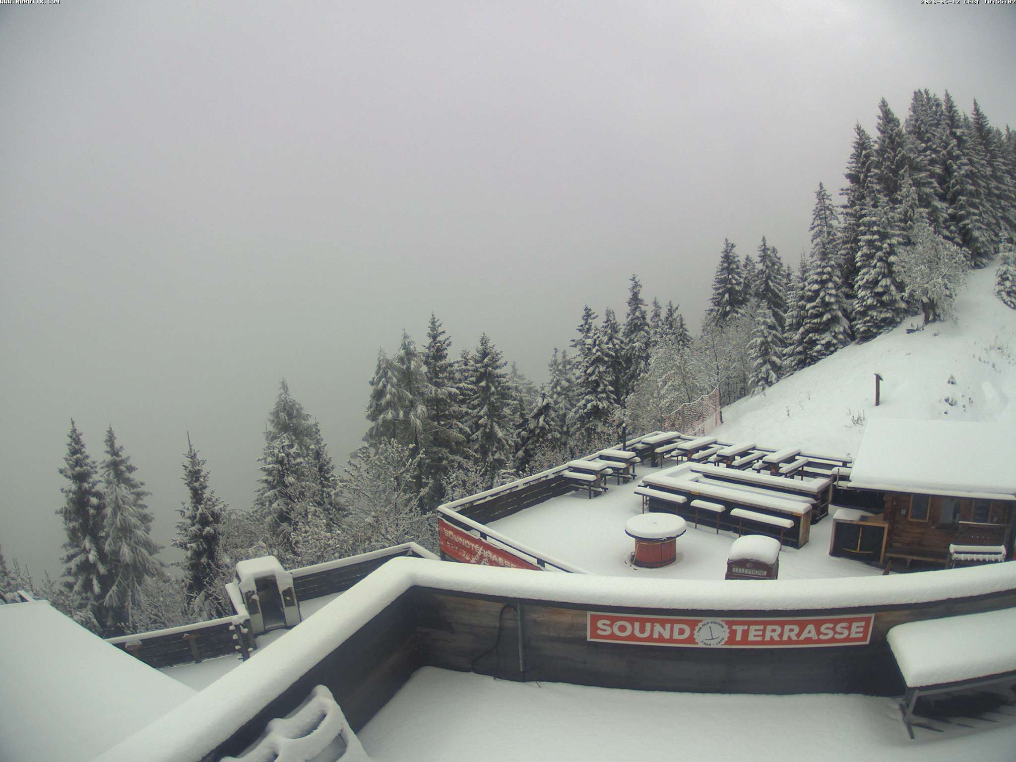 Brandnertal - Niggenkopf