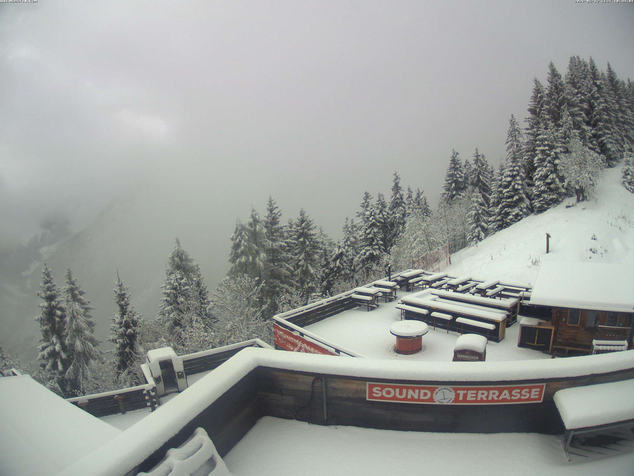 Brandnertal - Niggenkopf
