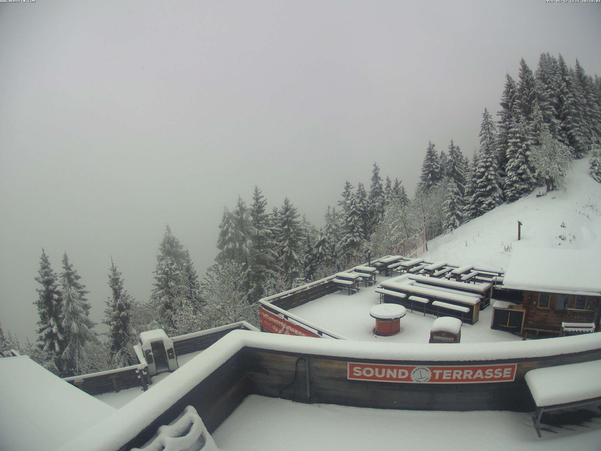 Brandnertal - Niggenkopf