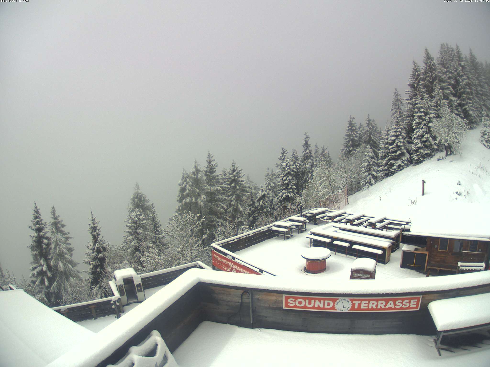 Brandnertal - Niggenkopf