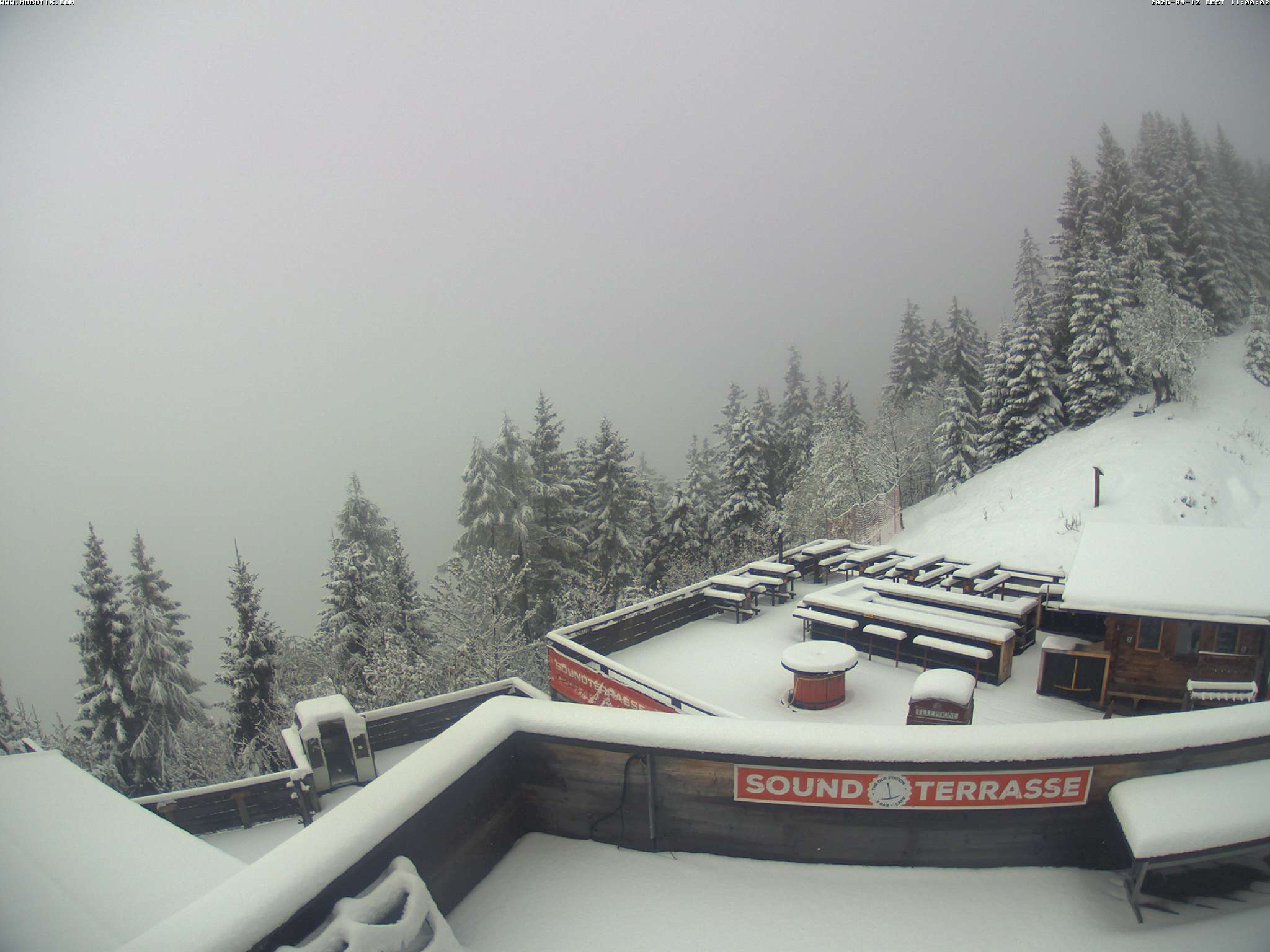 Brandnertal - Niggenkopf