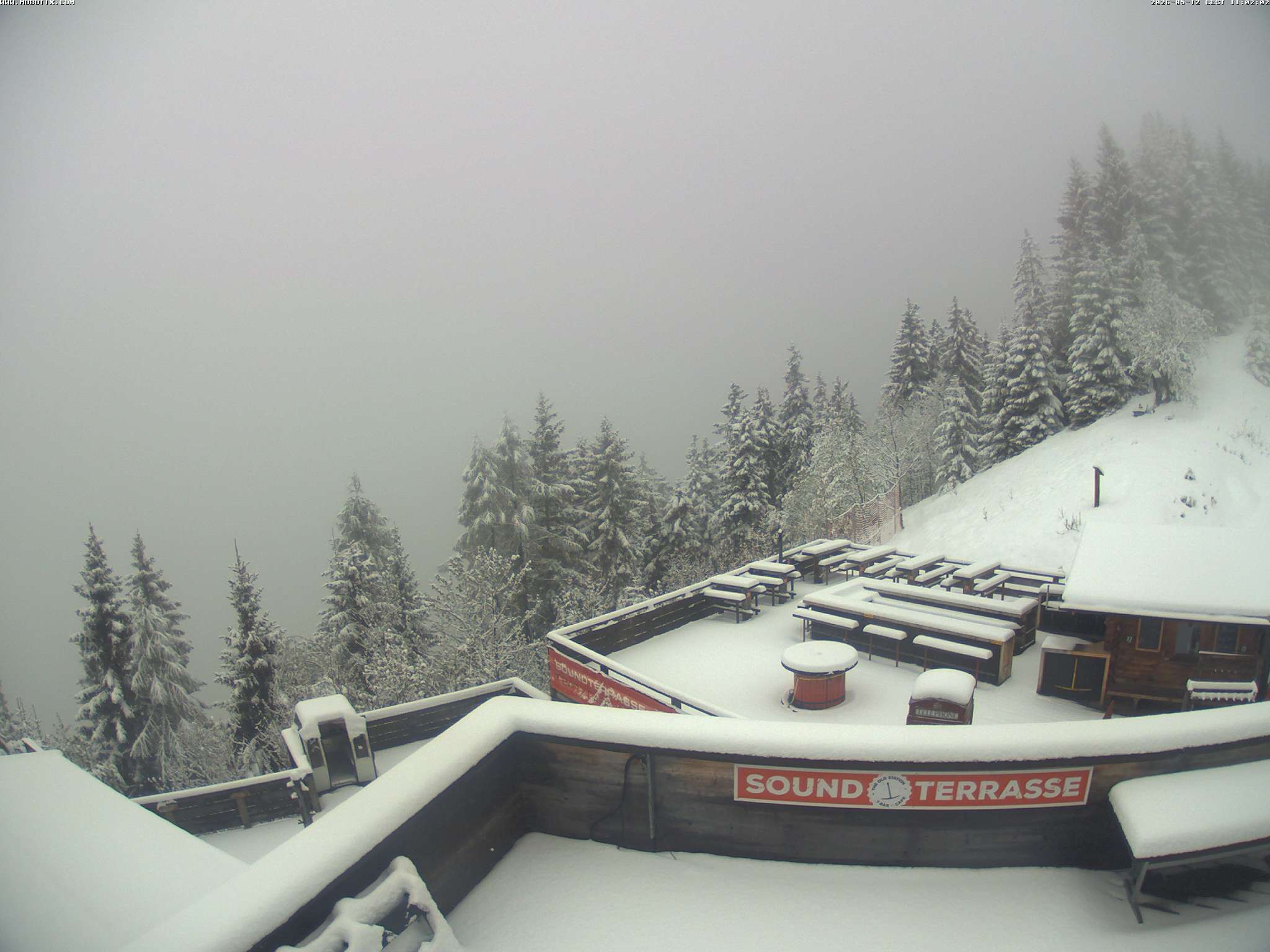 Brandnertal - Niggenkopf