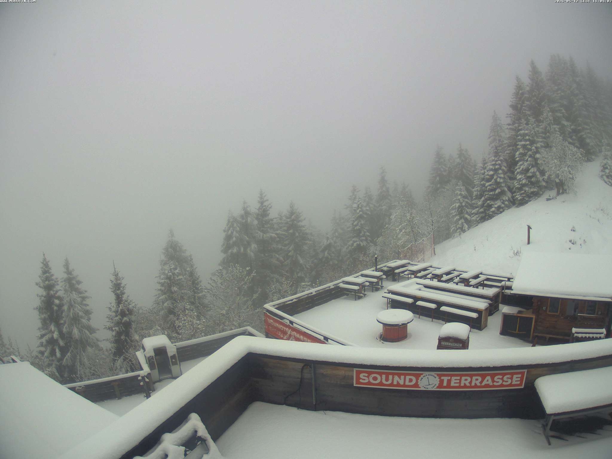 Brandnertal - Niggenkopf
