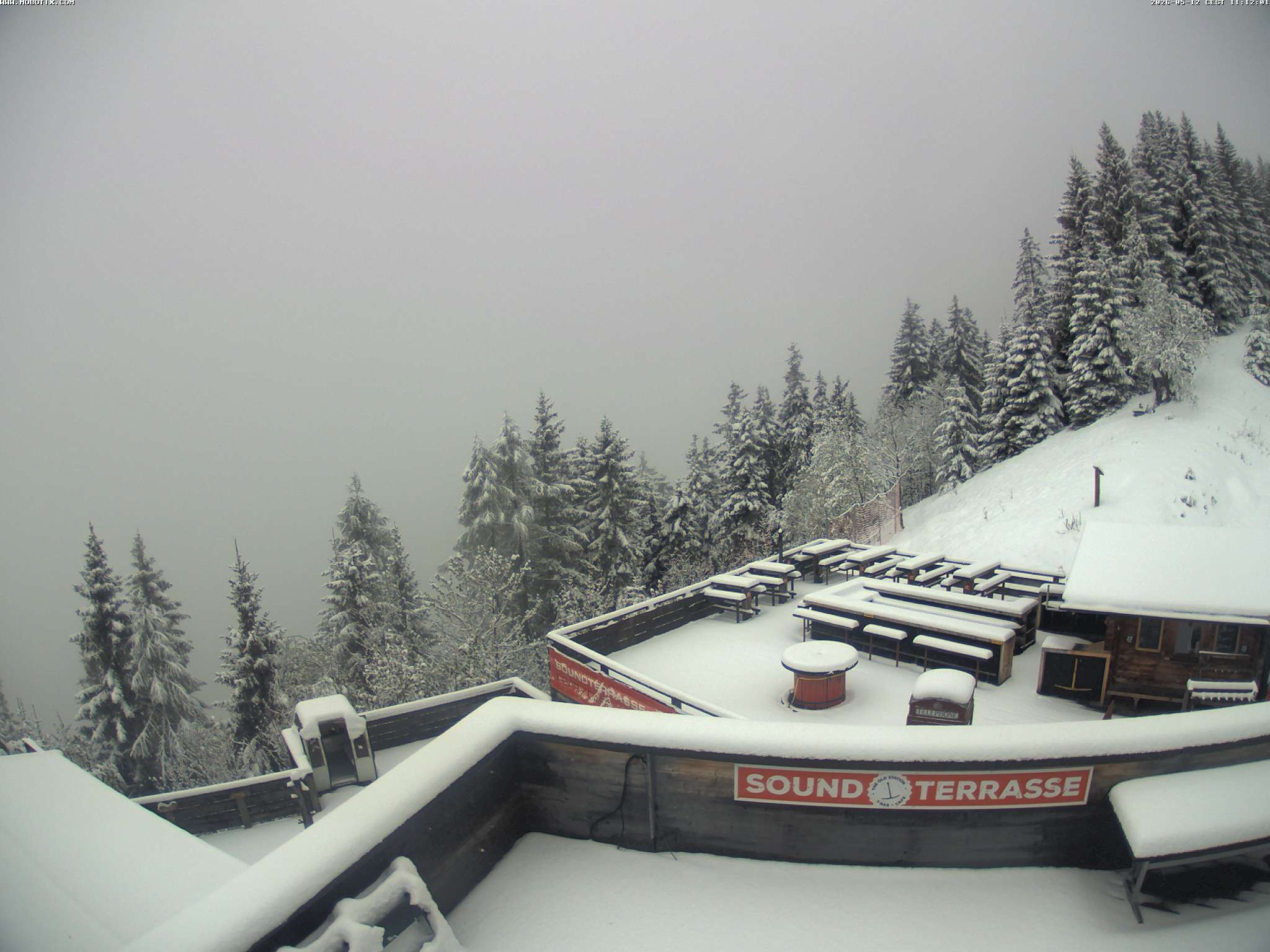 Brandnertal - Niggenkopf