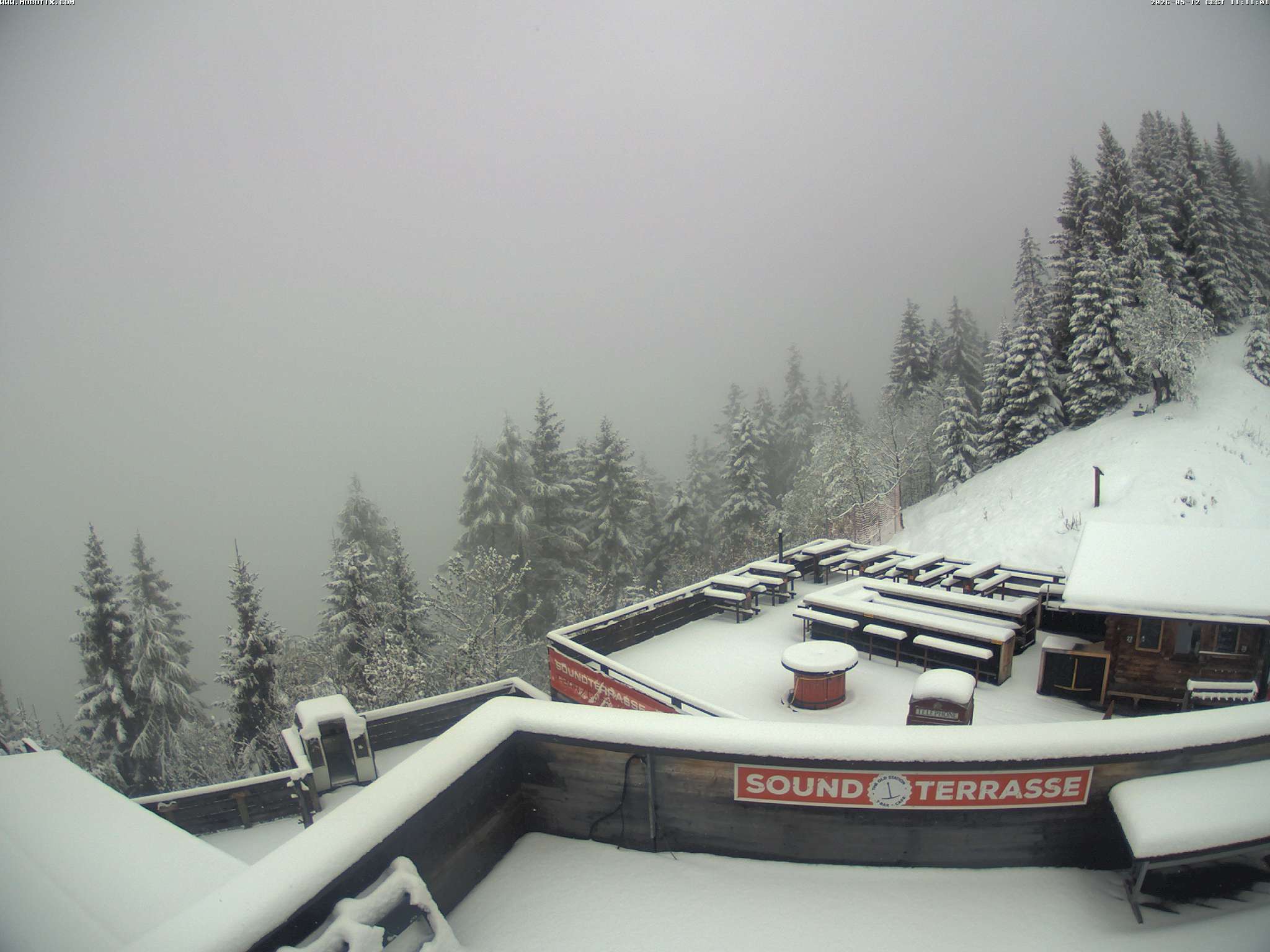 Brandnertal - Niggenkopf