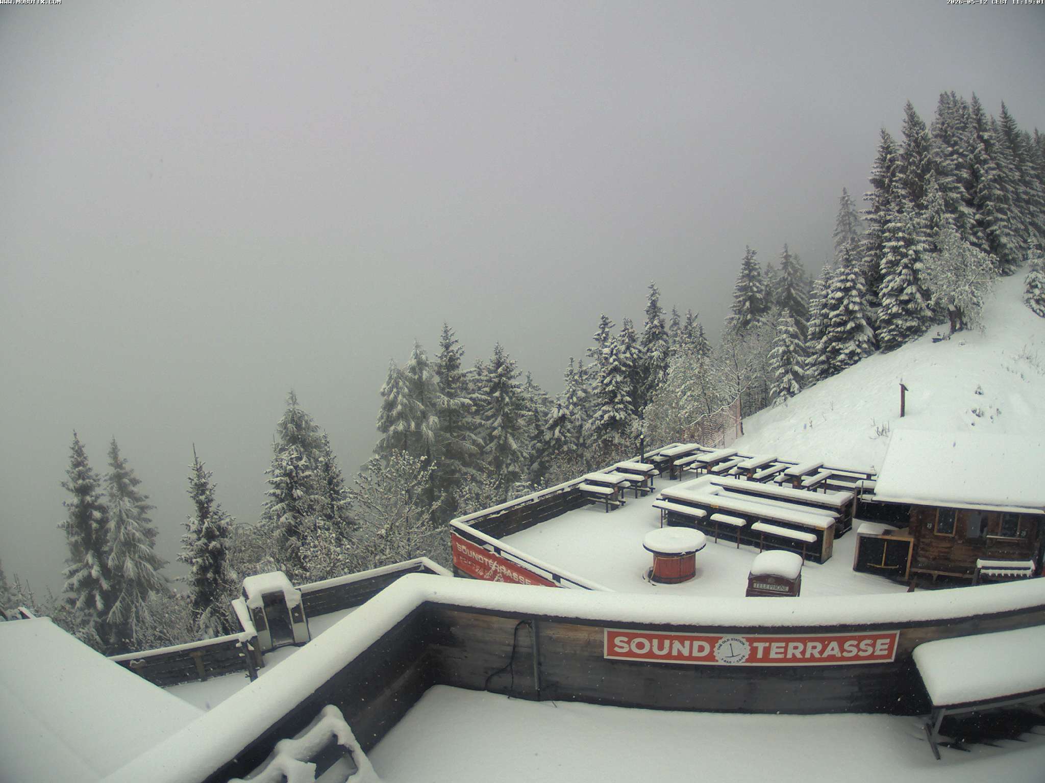 Brandnertal - Niggenkopf