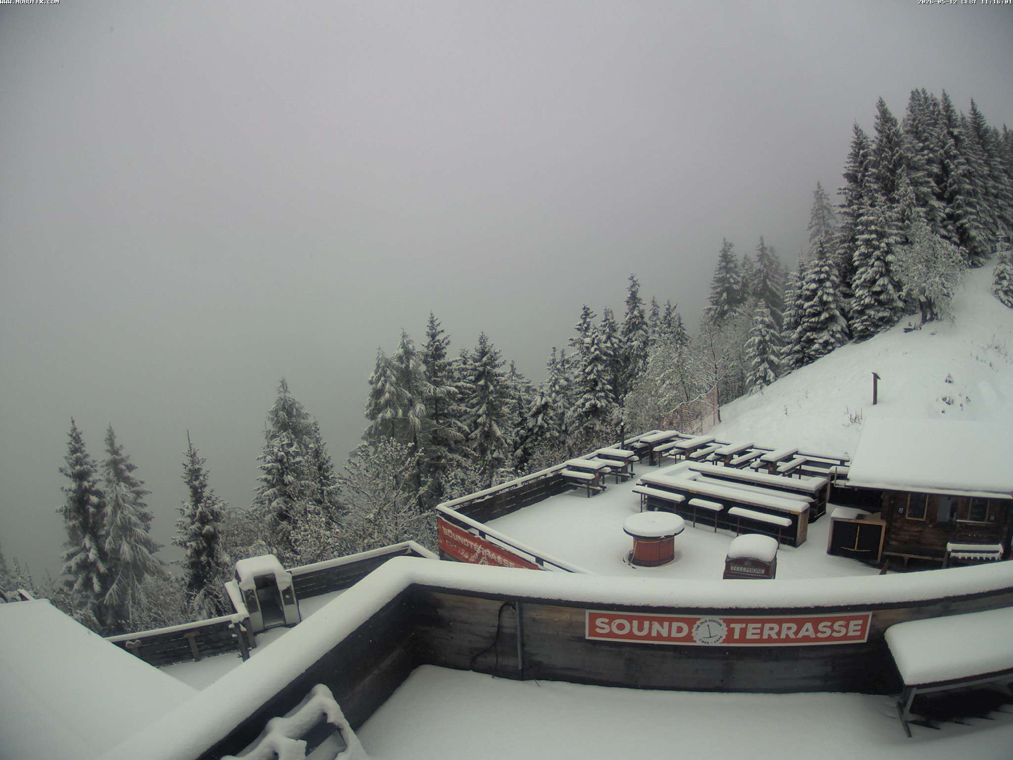 Brandnertal - Niggenkopf