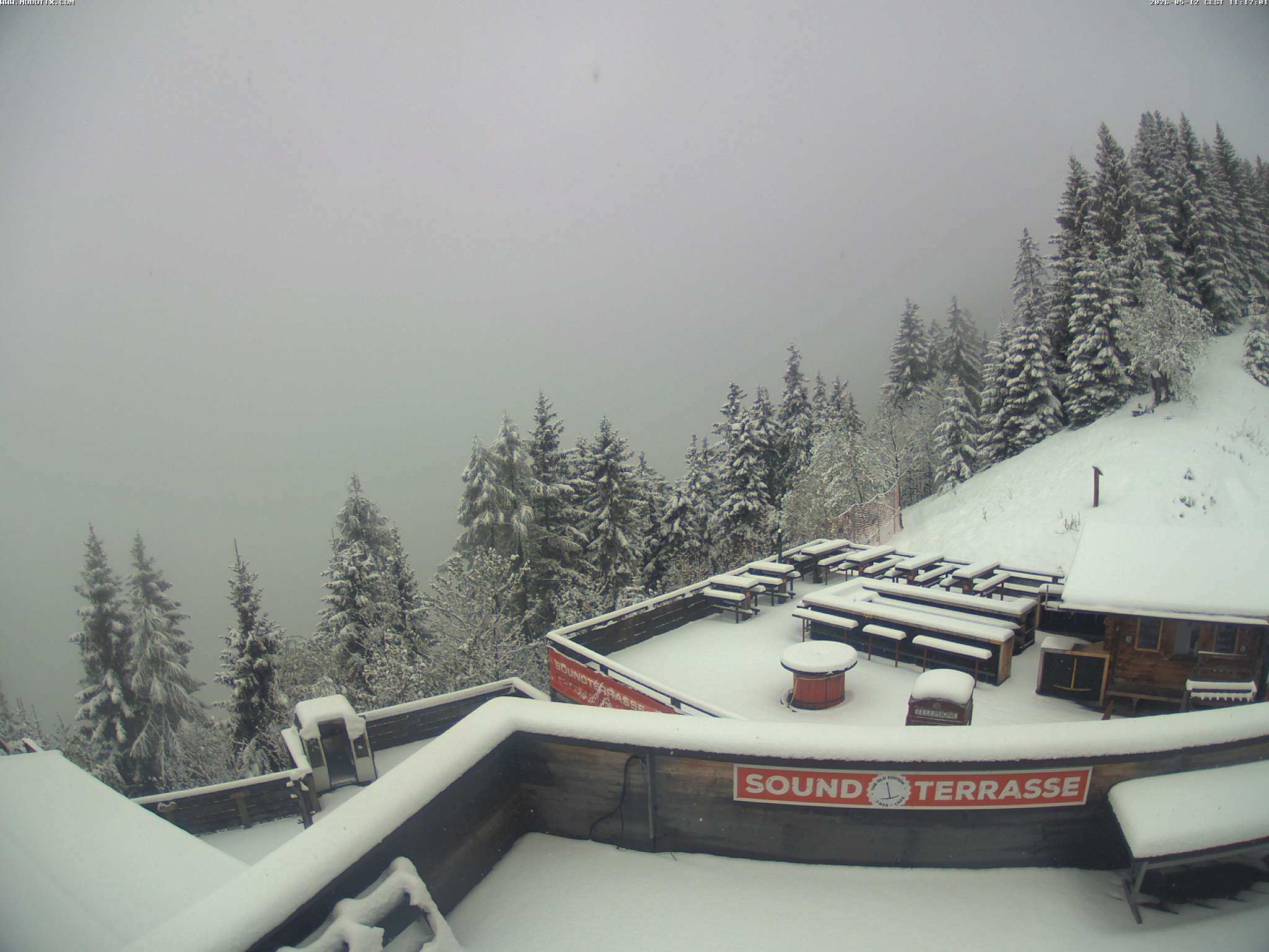 Brandnertal - Niggenkopf