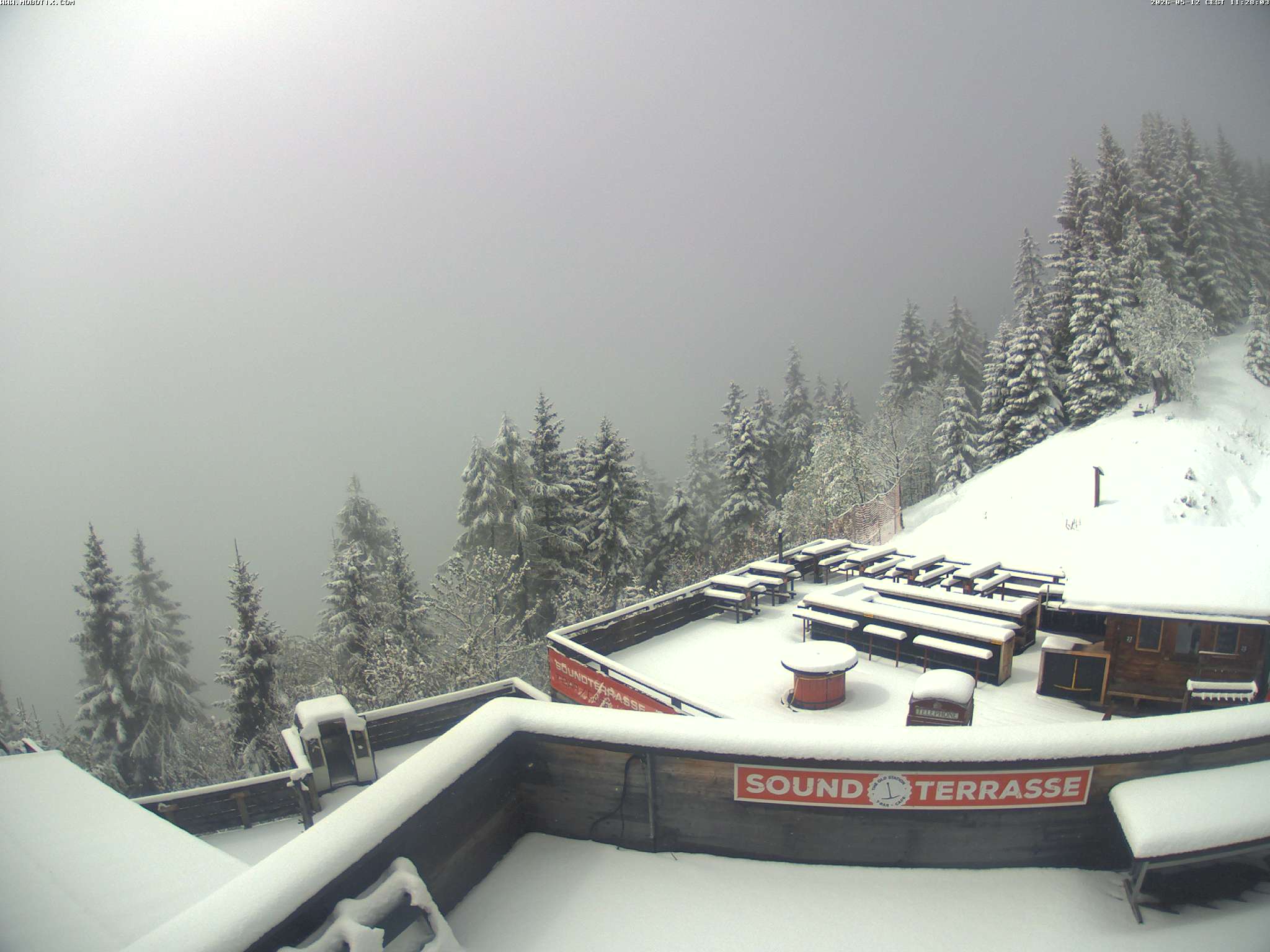Brandnertal - Niggenkopf