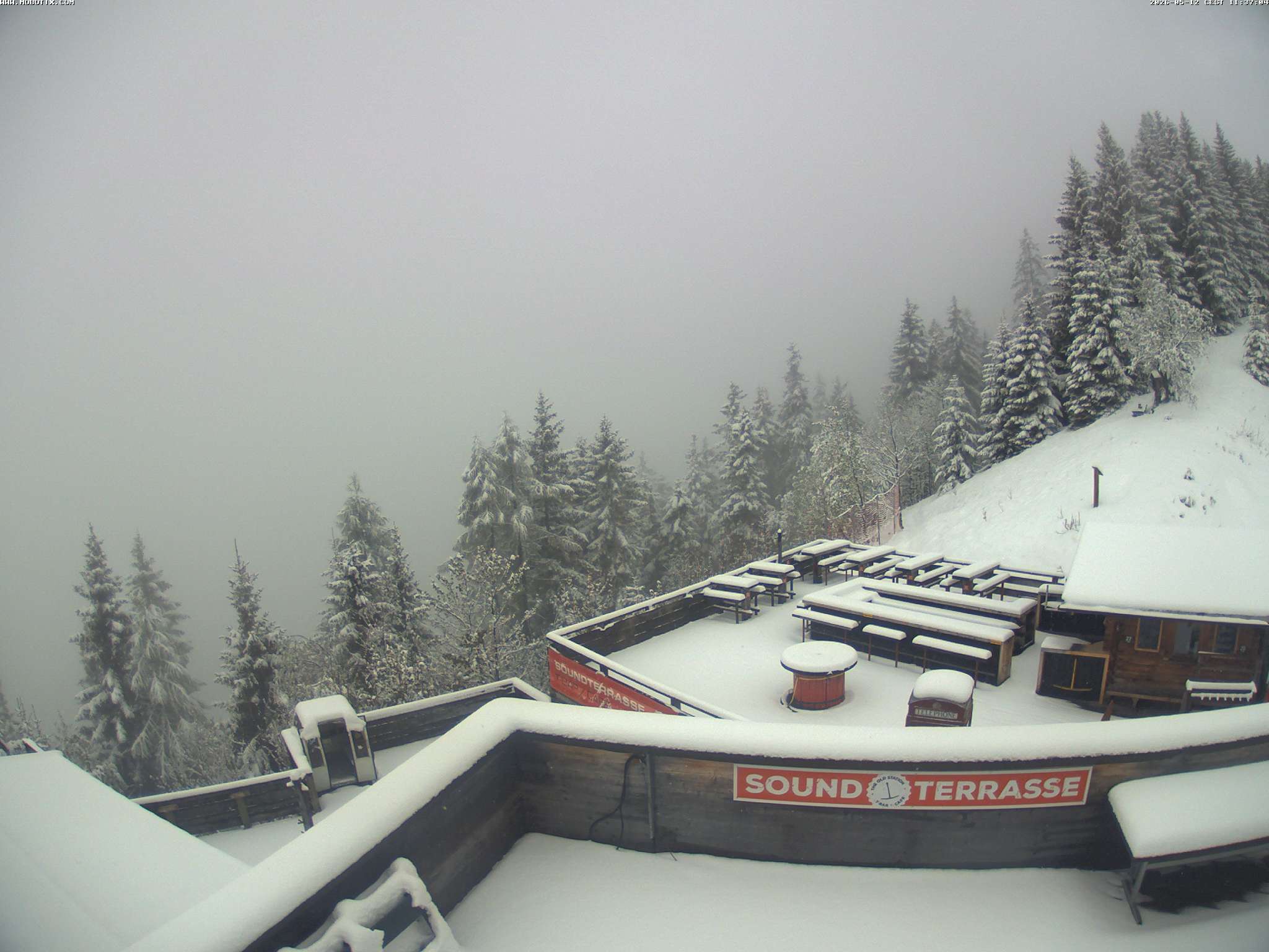 Brandnertal - Niggenkopf