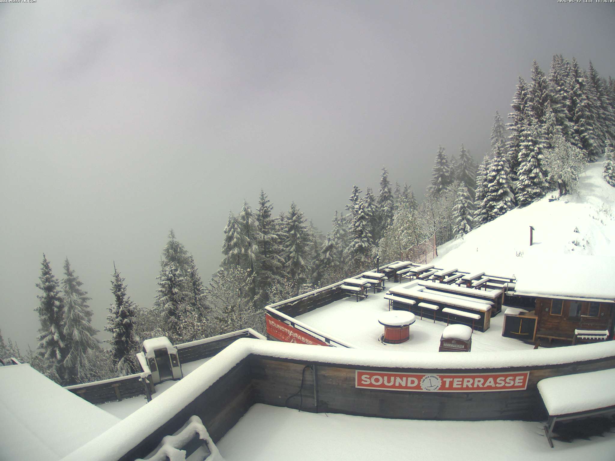 Brandnertal - Niggenkopf