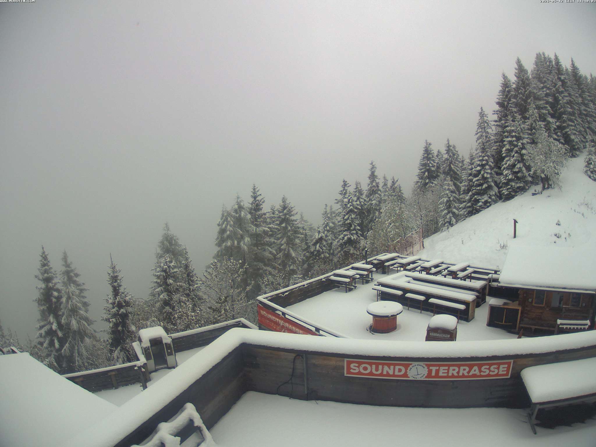 Brandnertal - Niggenkopf