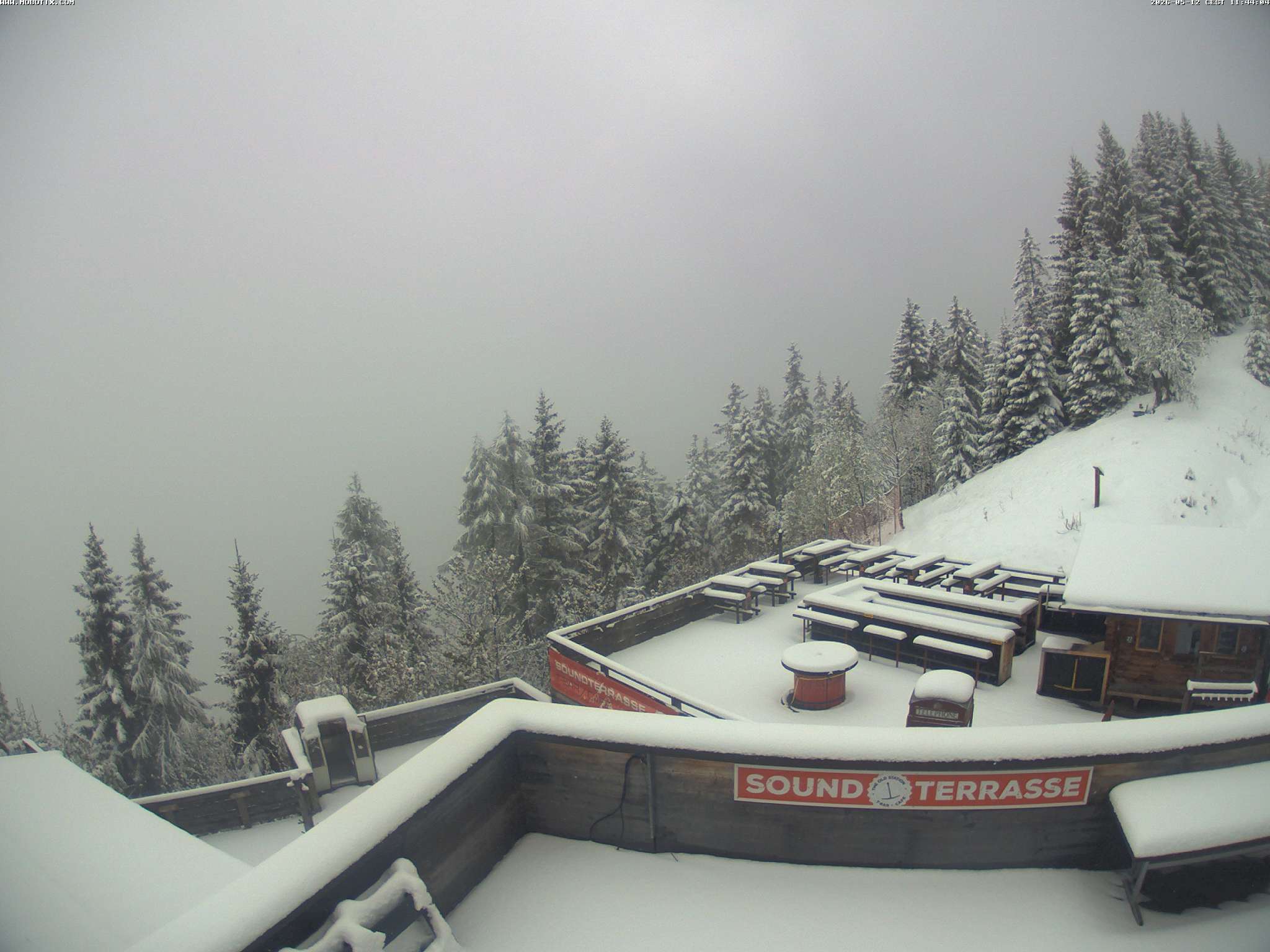 Brandnertal - Niggenkopf