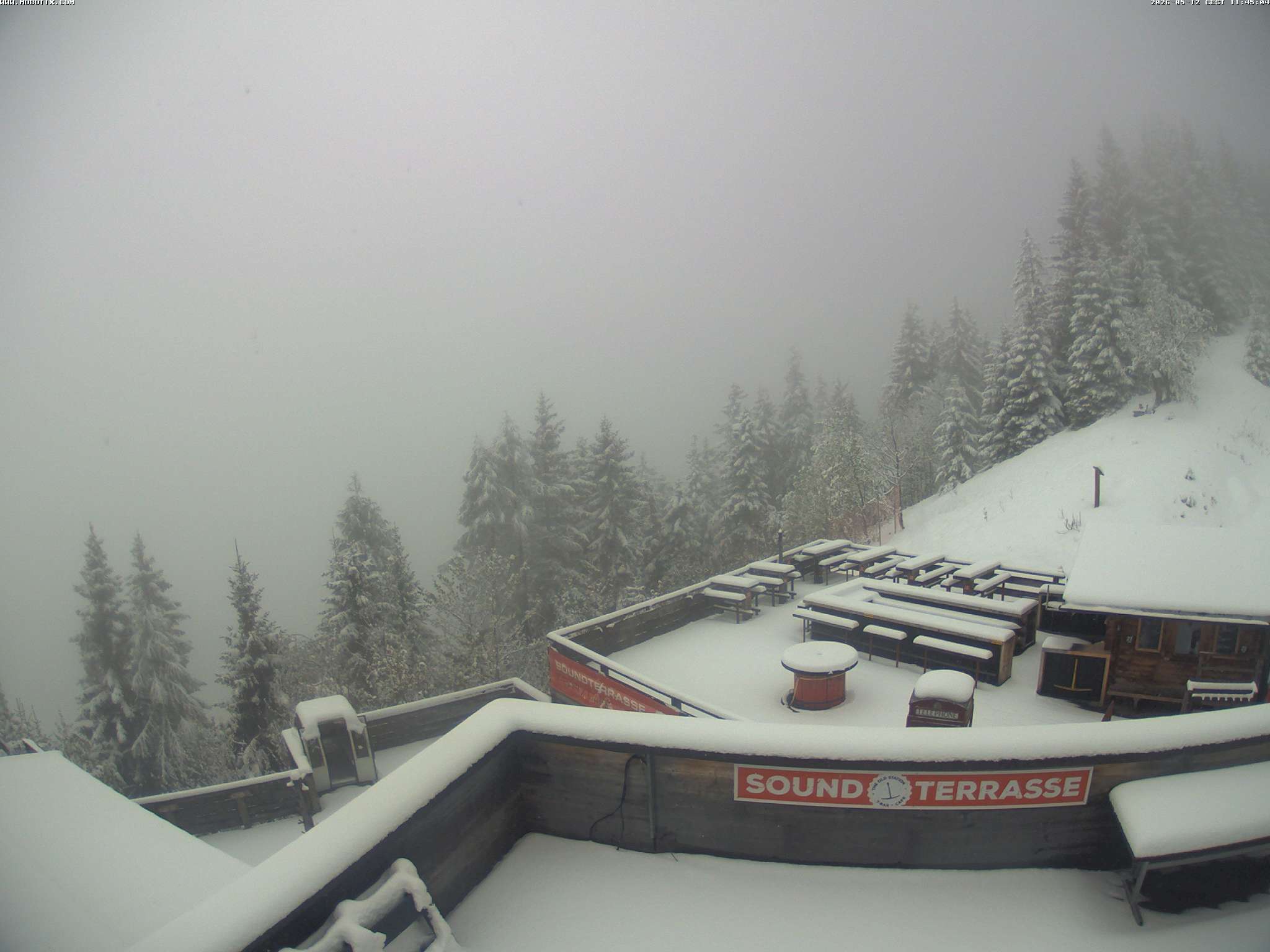 Brandnertal - Niggenkopf