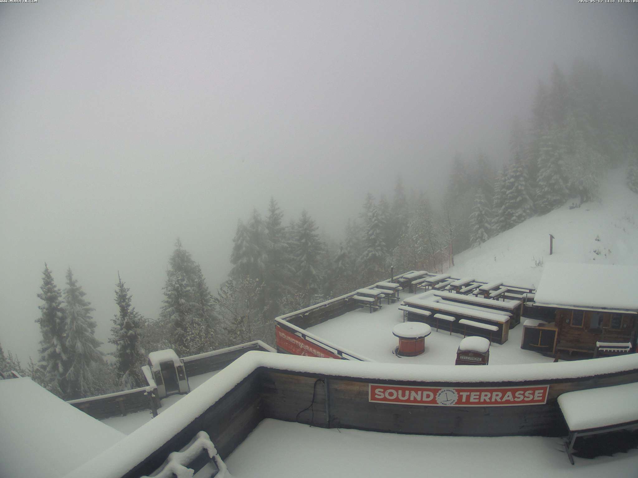 Brandnertal - Niggenkopf