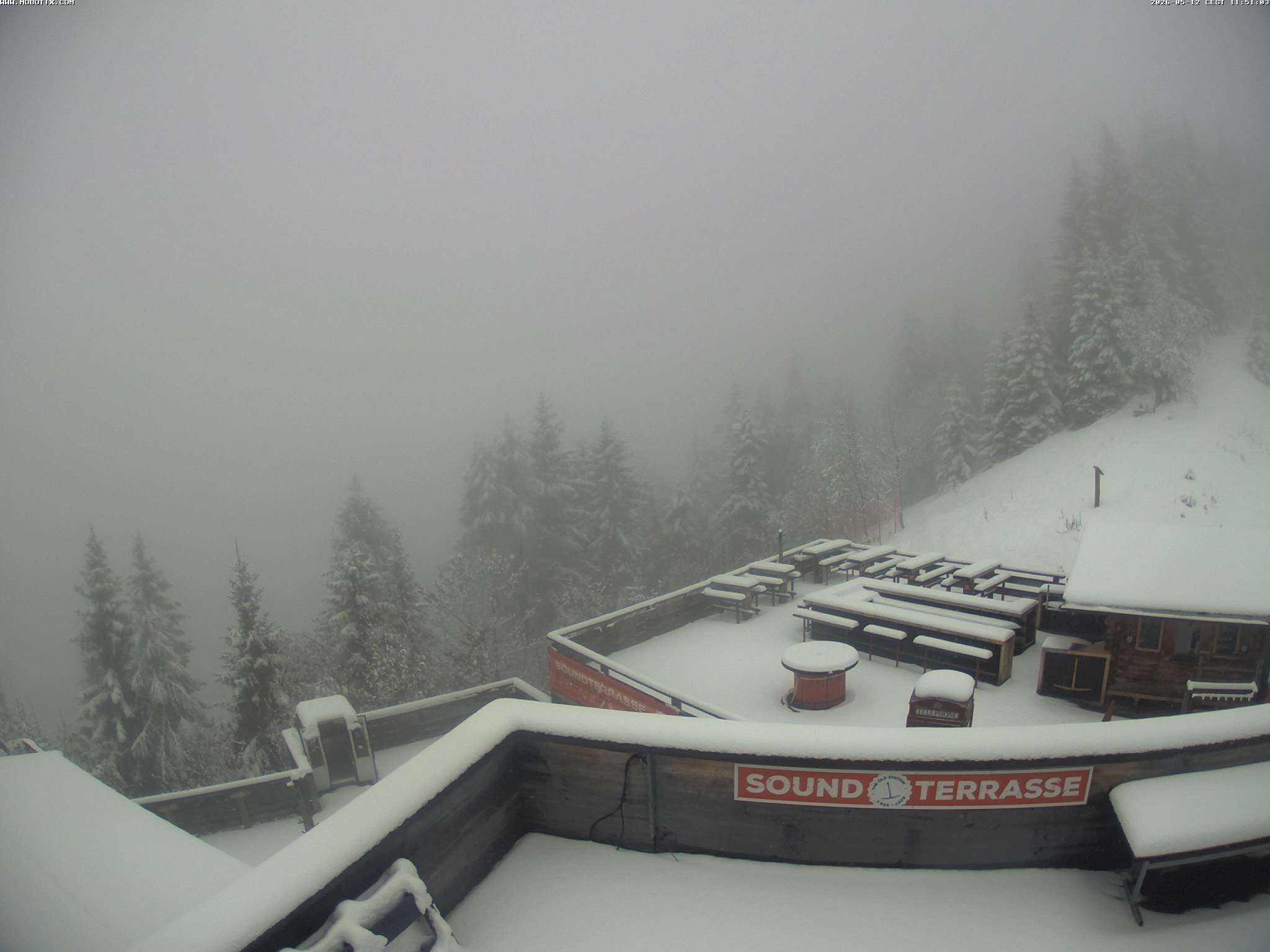 Brandnertal - Niggenkopf