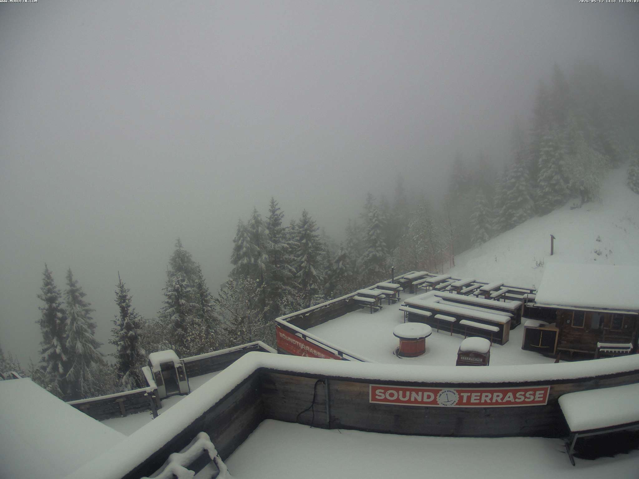 Brandnertal - Niggenkopf