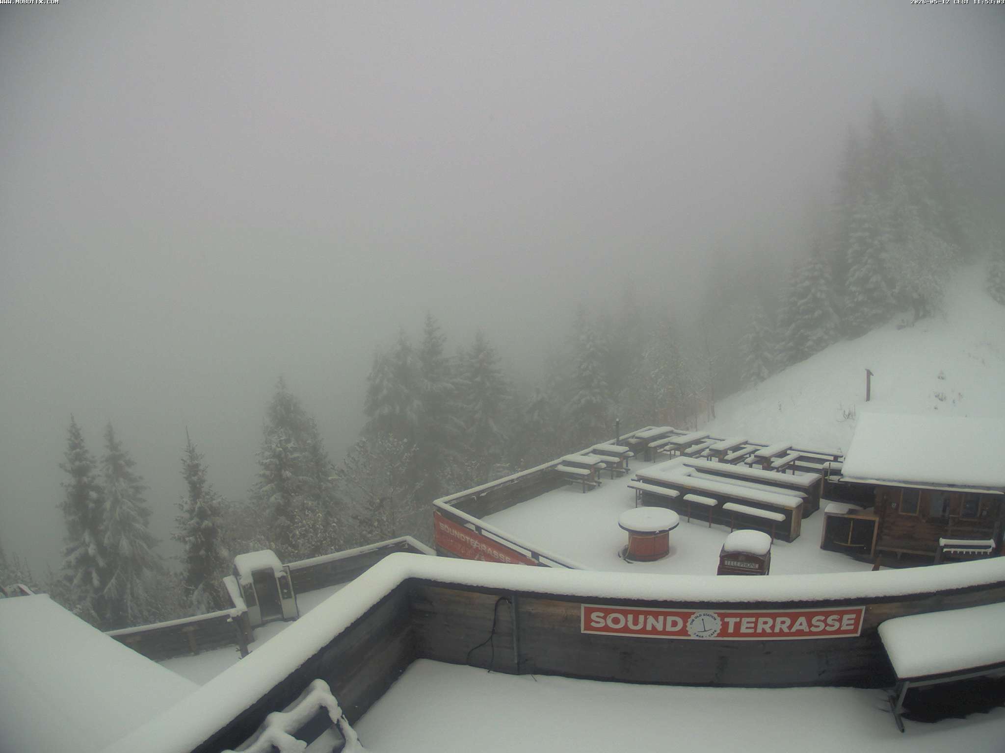 Brandnertal - Niggenkopf