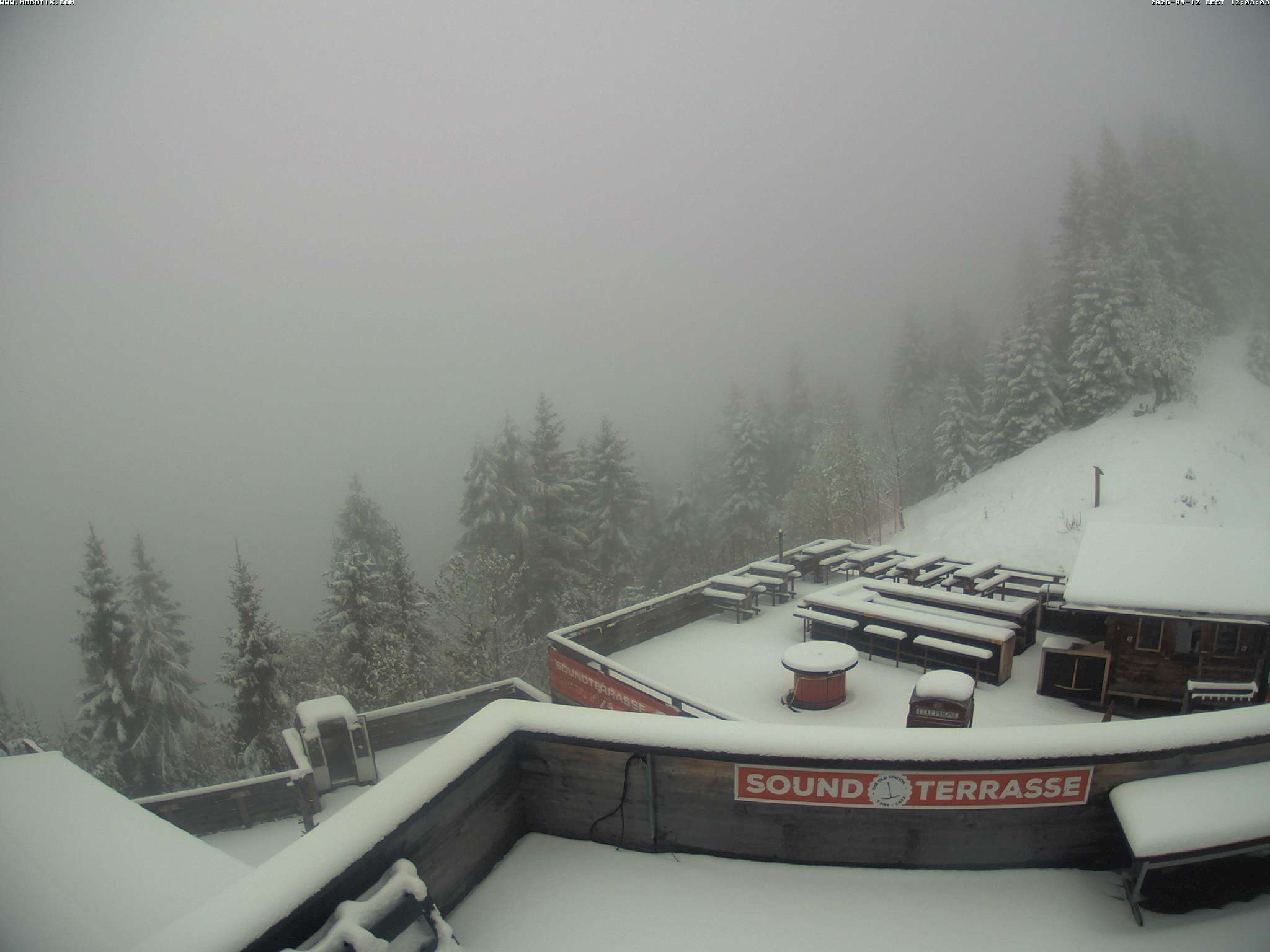 Brandnertal - Niggenkopf