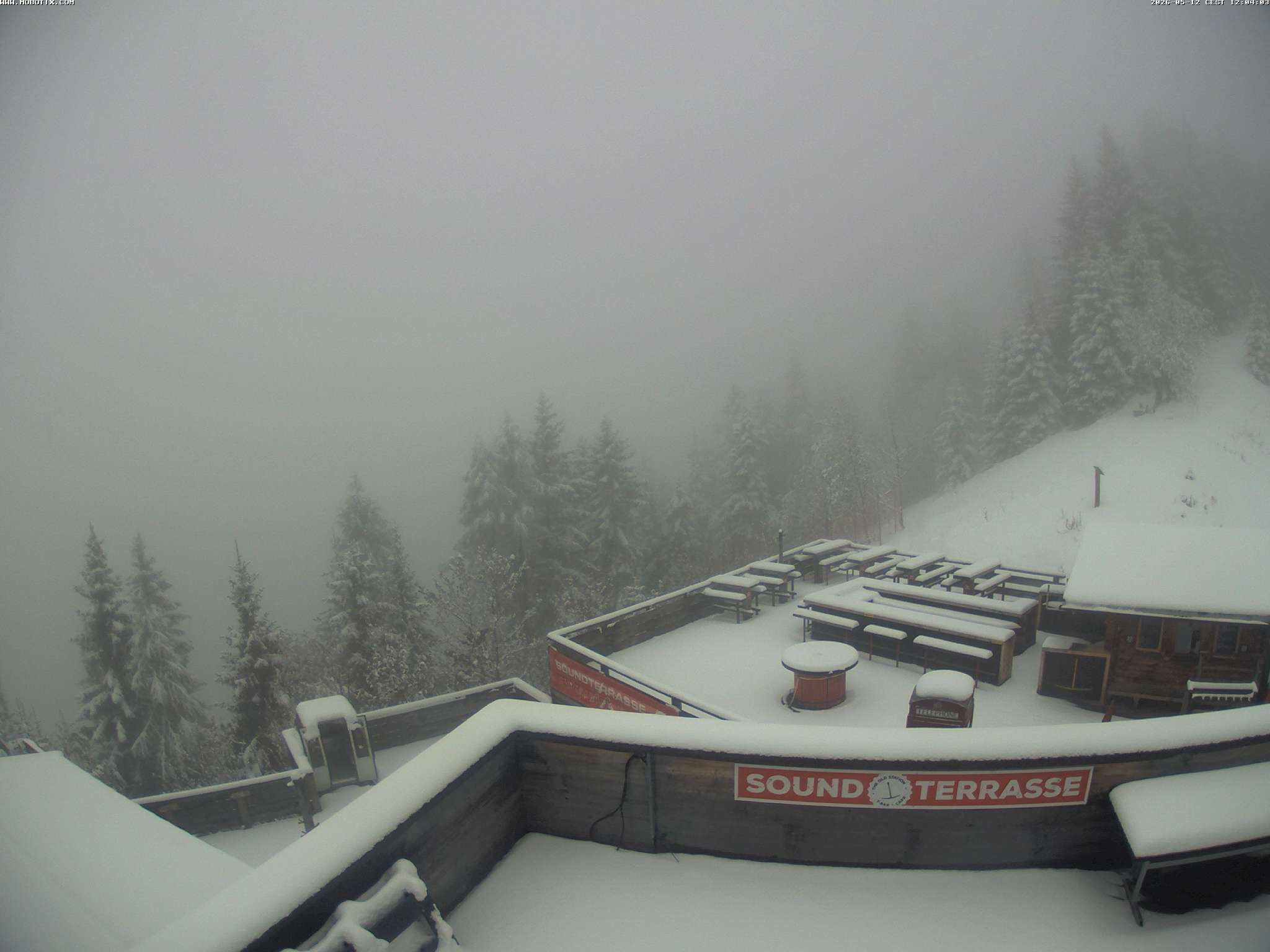 Brandnertal - Niggenkopf