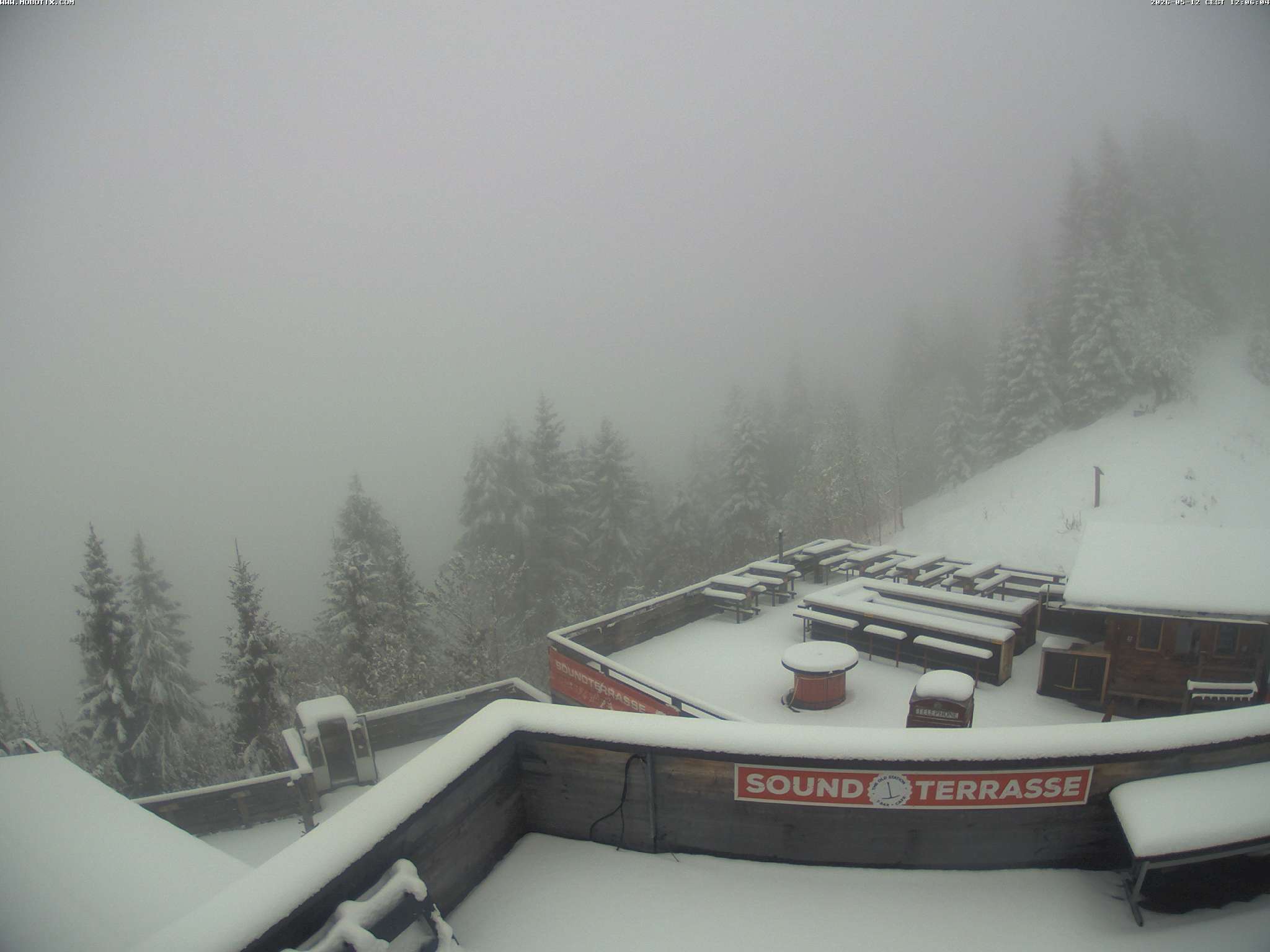 Brandnertal - Niggenkopf