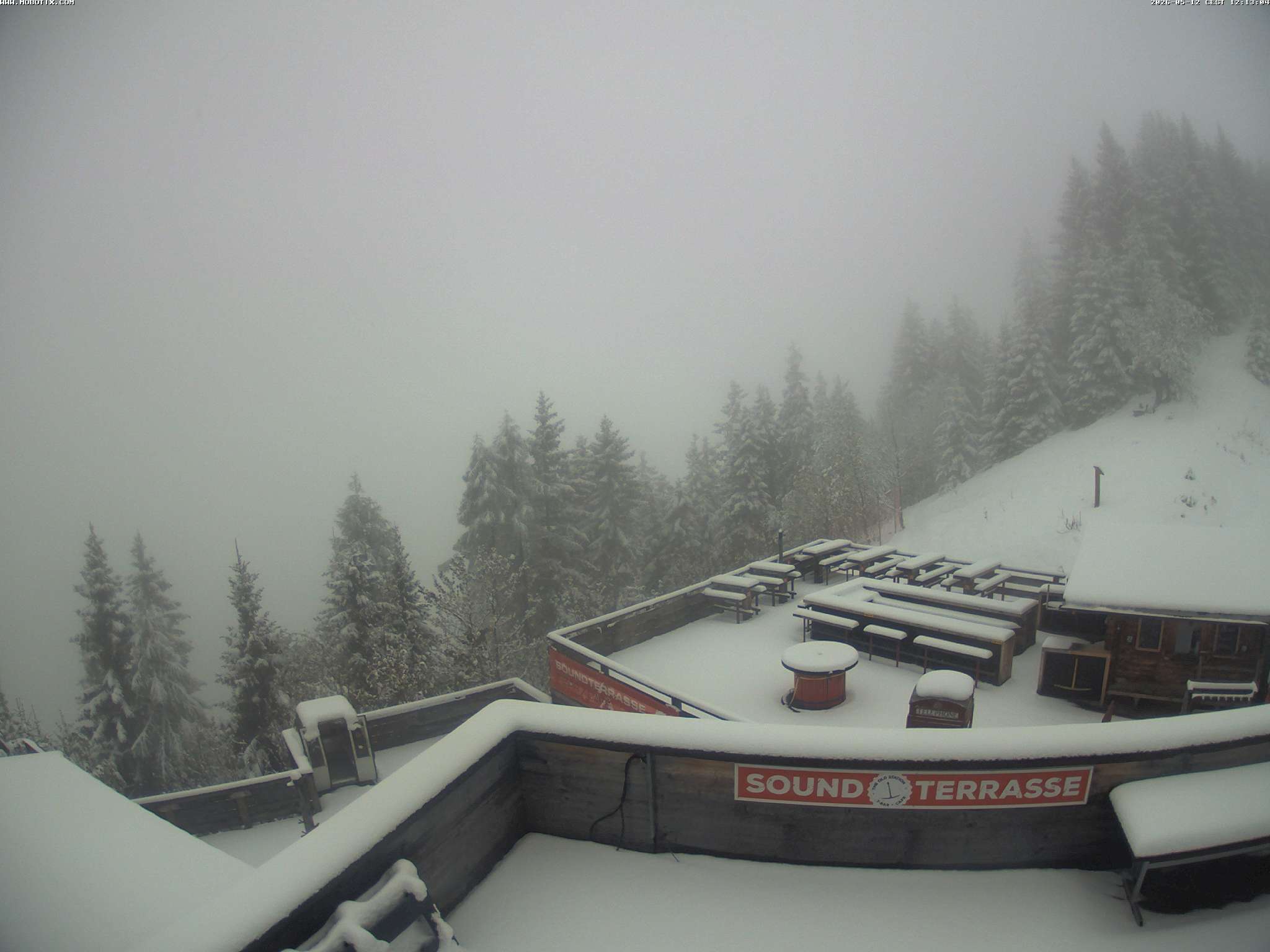 Brandnertal - Niggenkopf