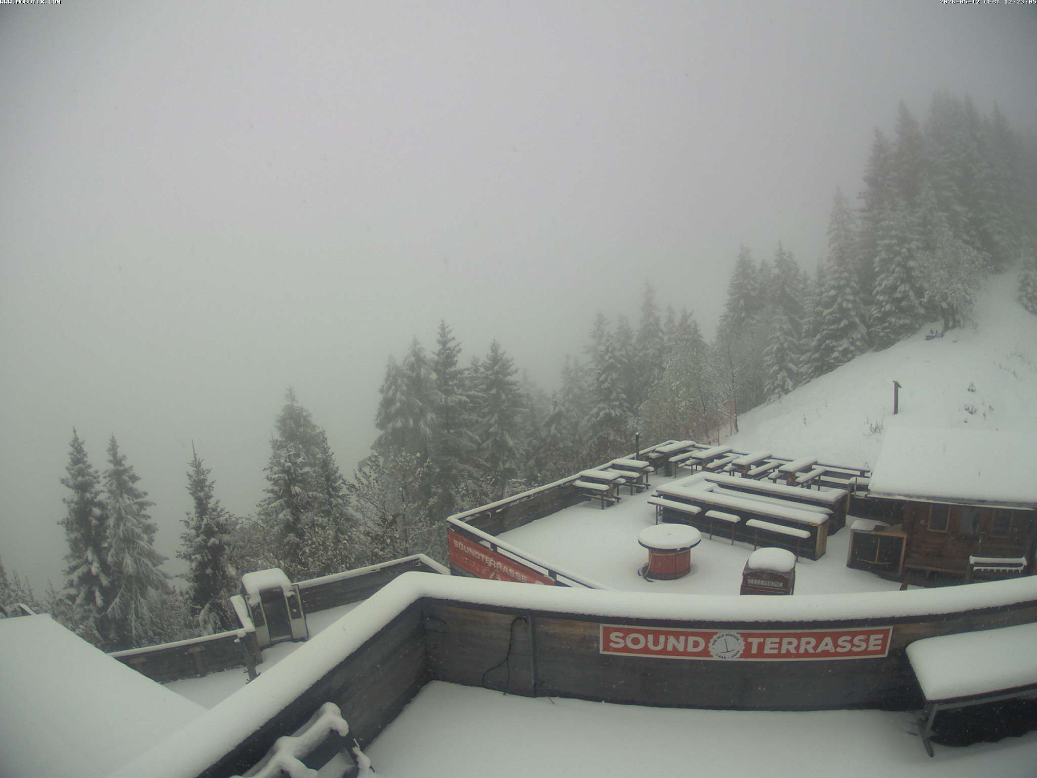 Brandnertal - Niggenkopf