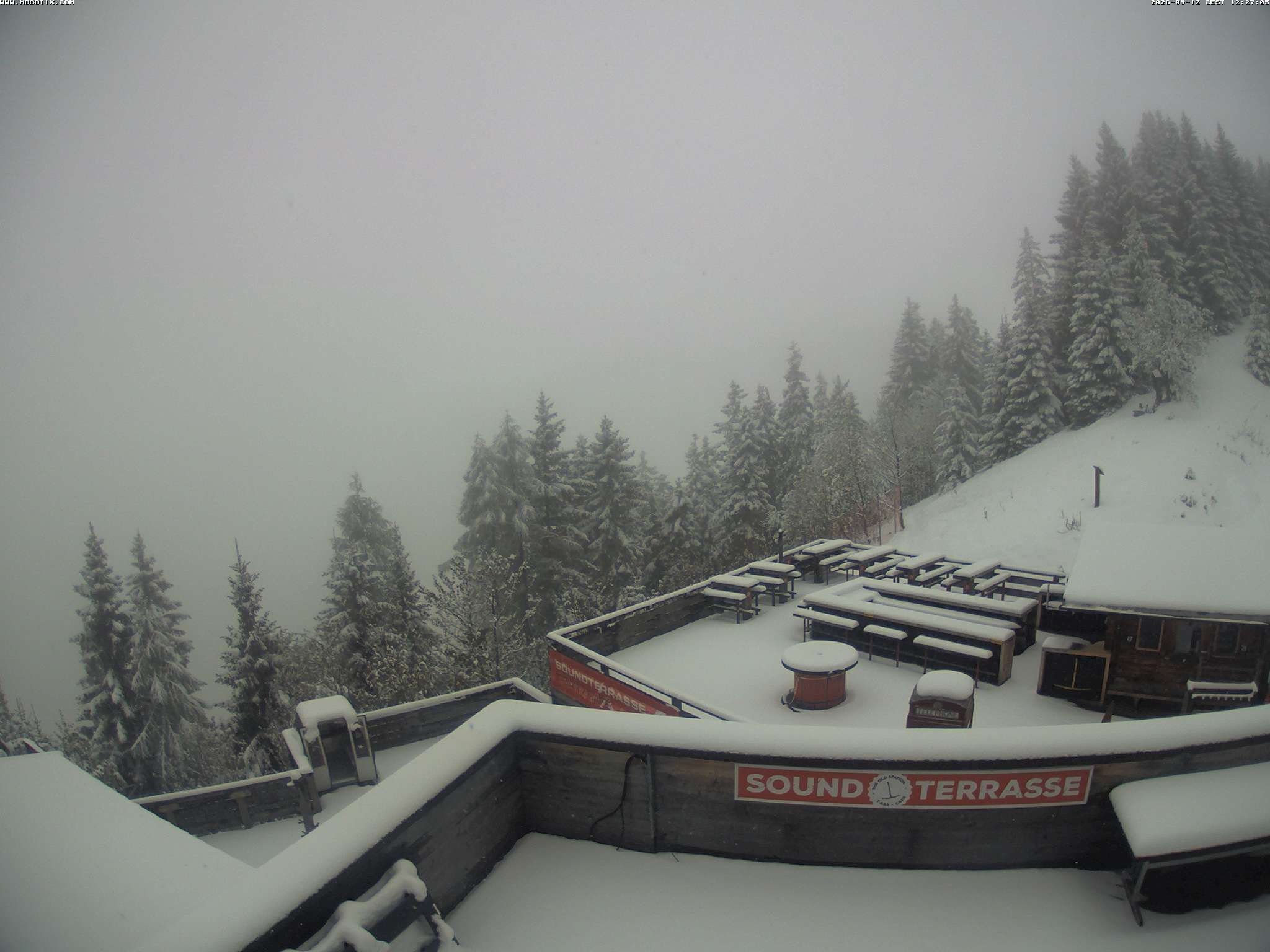 Brandnertal - Niggenkopf