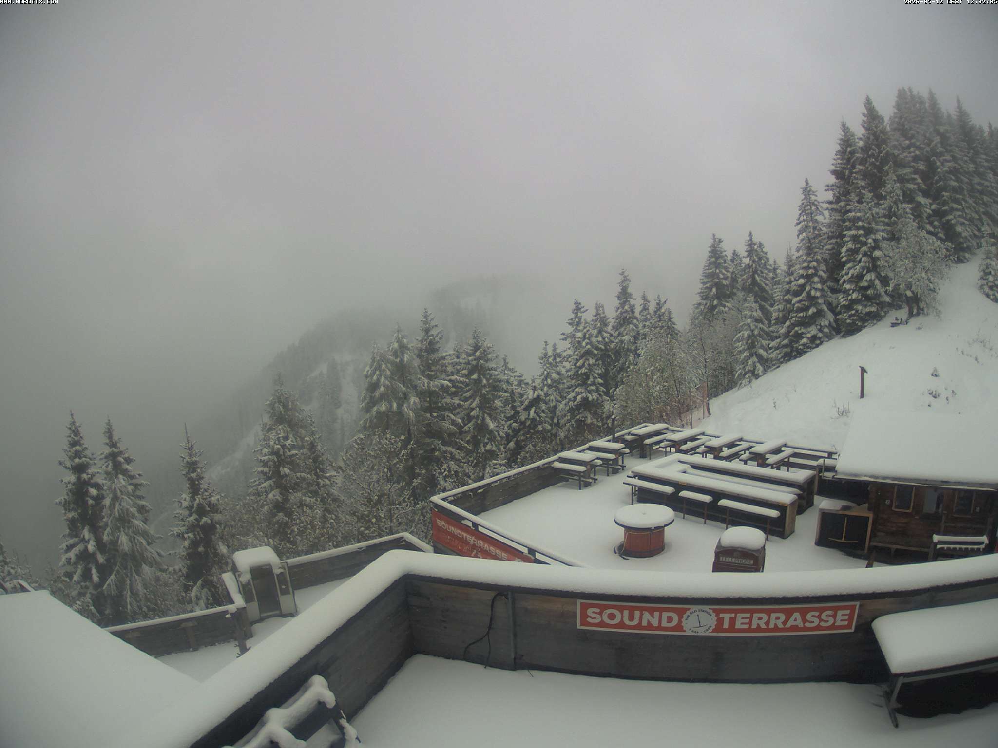 Brandnertal - Niggenkopf