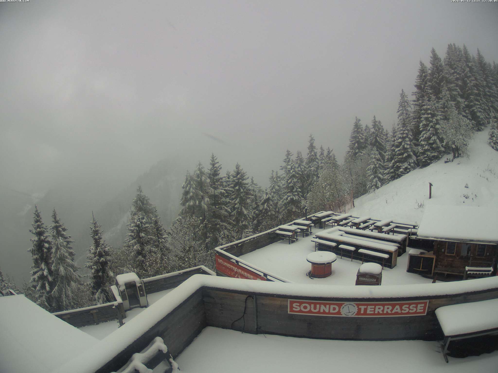 Brandnertal - Niggenkopf
